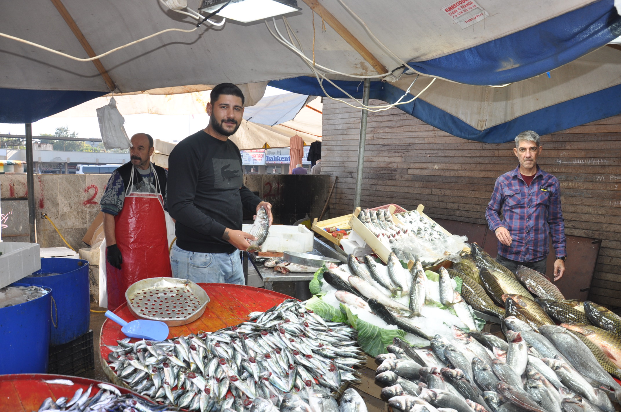 Salihli Yeni Pazar Yerinde Balik Fiyatlari 1 Ekim Carsamba Tezgahlarda Balik Bereketi (23)