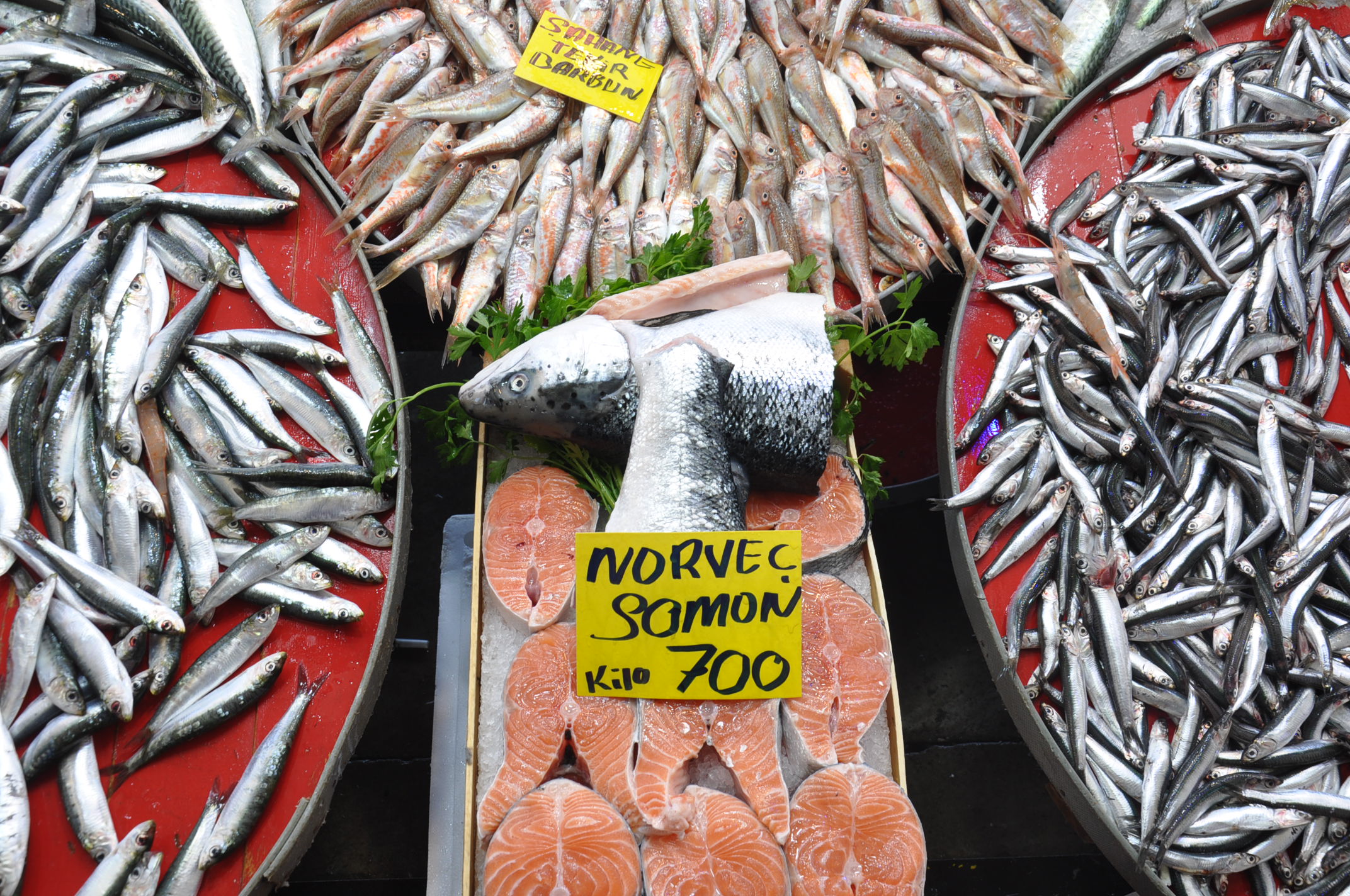 Salihli Yeni Pazar Yerinde Balik Fiyatlari 1 Ekim Carsamba Tezgahlarda Balik Bereketi (6)