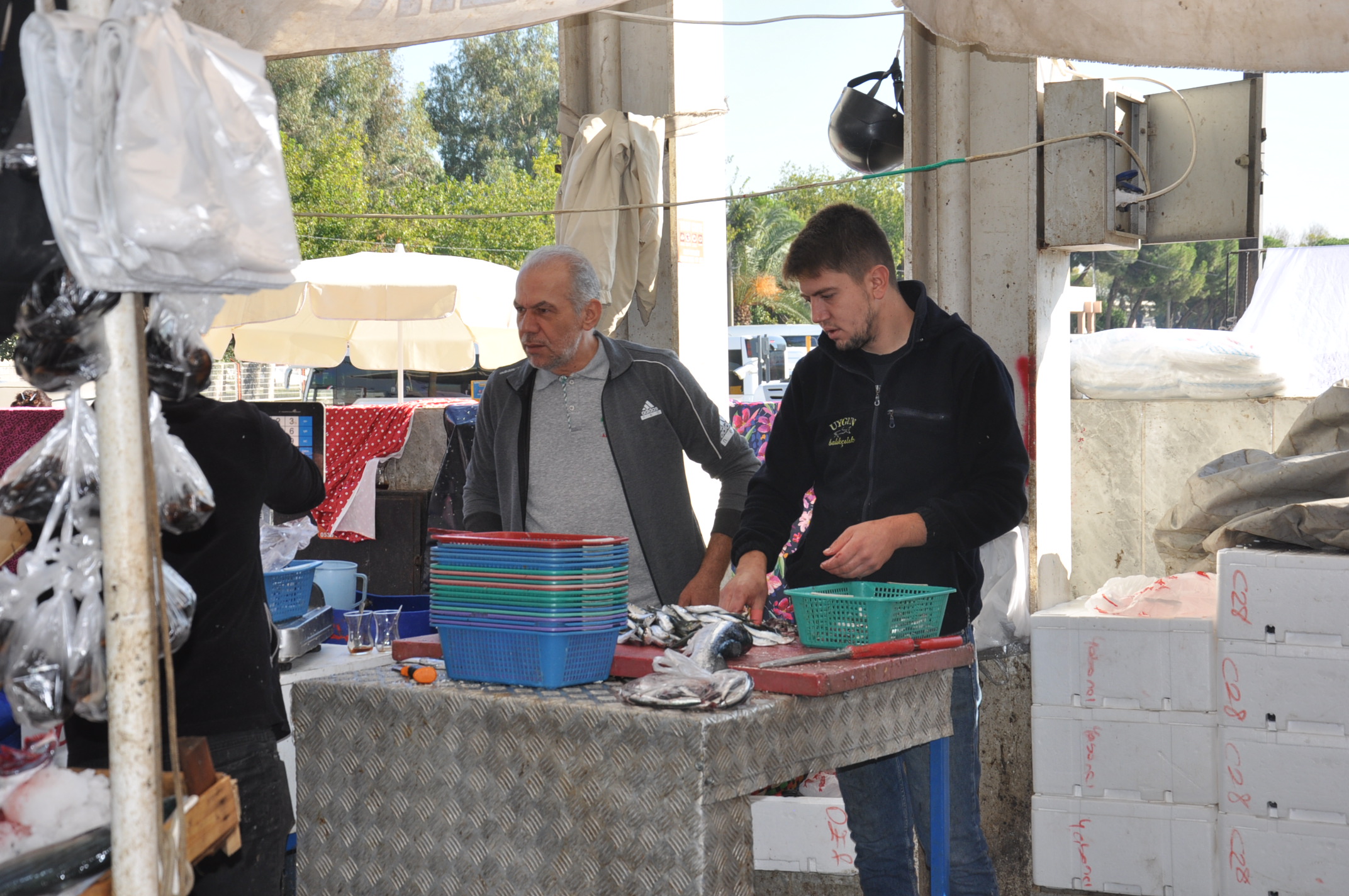 Salihli Yeni Pazar Yerinde Balik Fiyatlari 1 Ekim Carsamba Tezgahlarda Balik Bereketi (8)