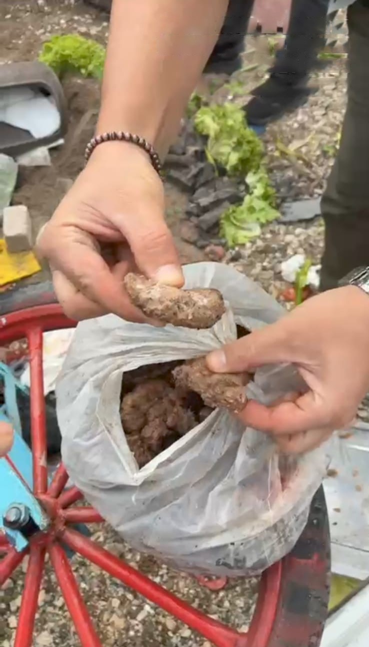 Stadyumda Gıda Skandalı Bozuk Köfte Ve Küflenmiş Sucuklar Ele Geçirildi (4)