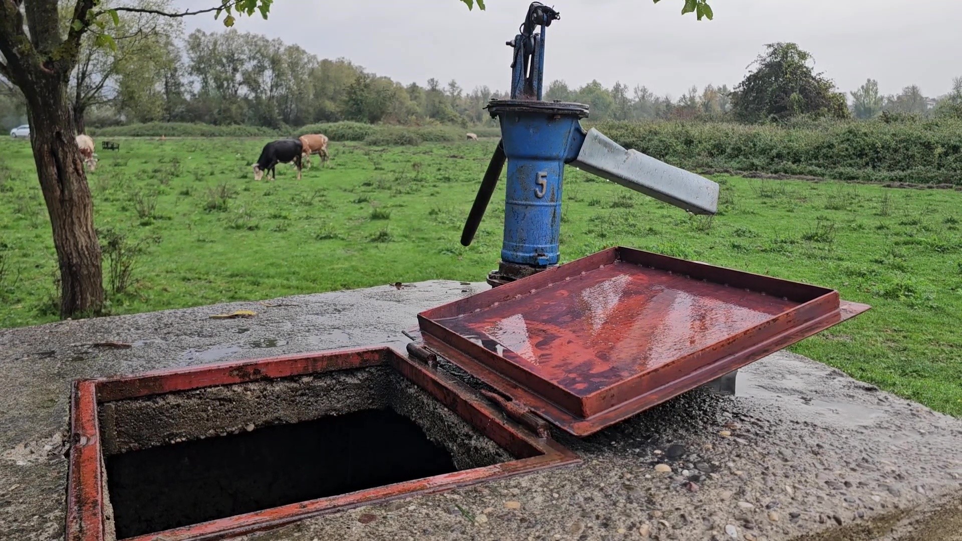 Su Kuyusunda Korkunç Manzara! Kimliği Belirsiz Kadın Cesedi Bulundu (2)