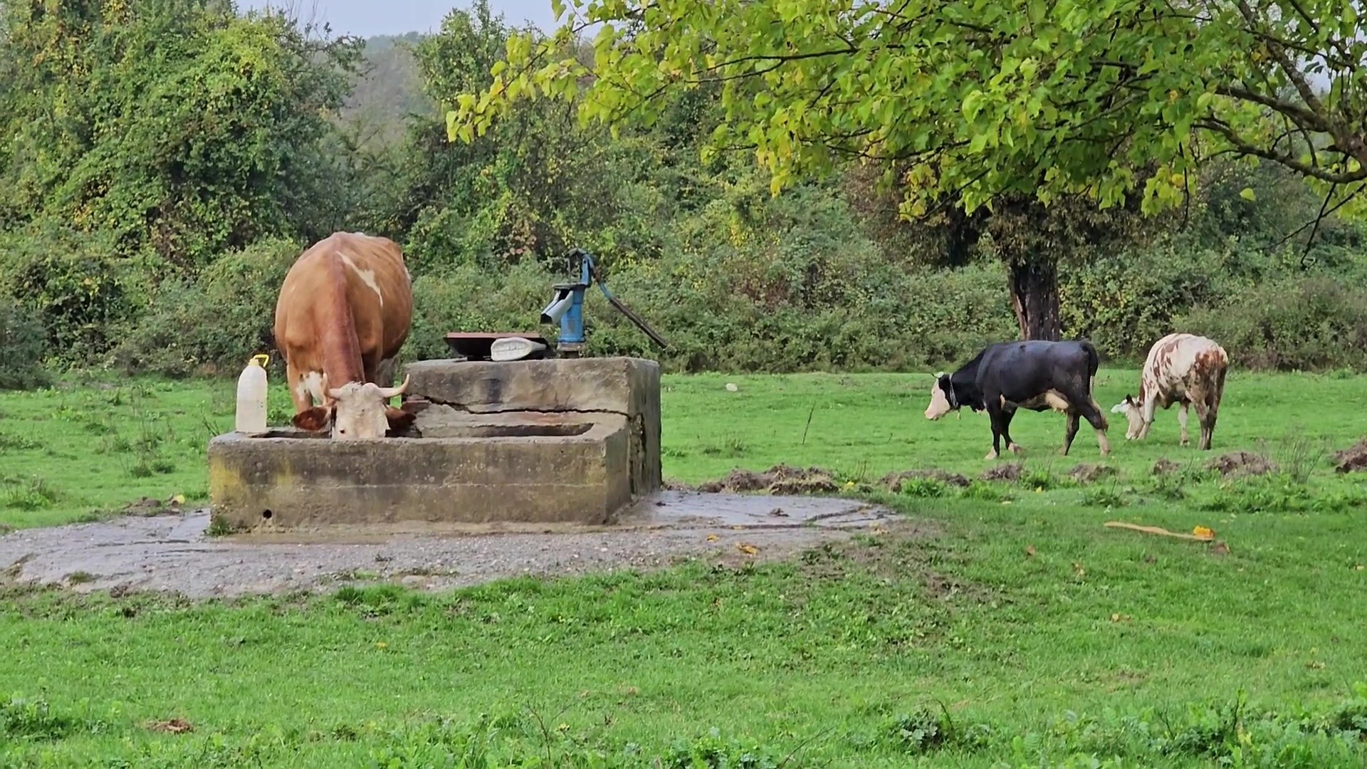 Su Kuyusunda Korkunç Manzara! Kimliği Belirsiz Kadın Cesedi Bulundu (3)