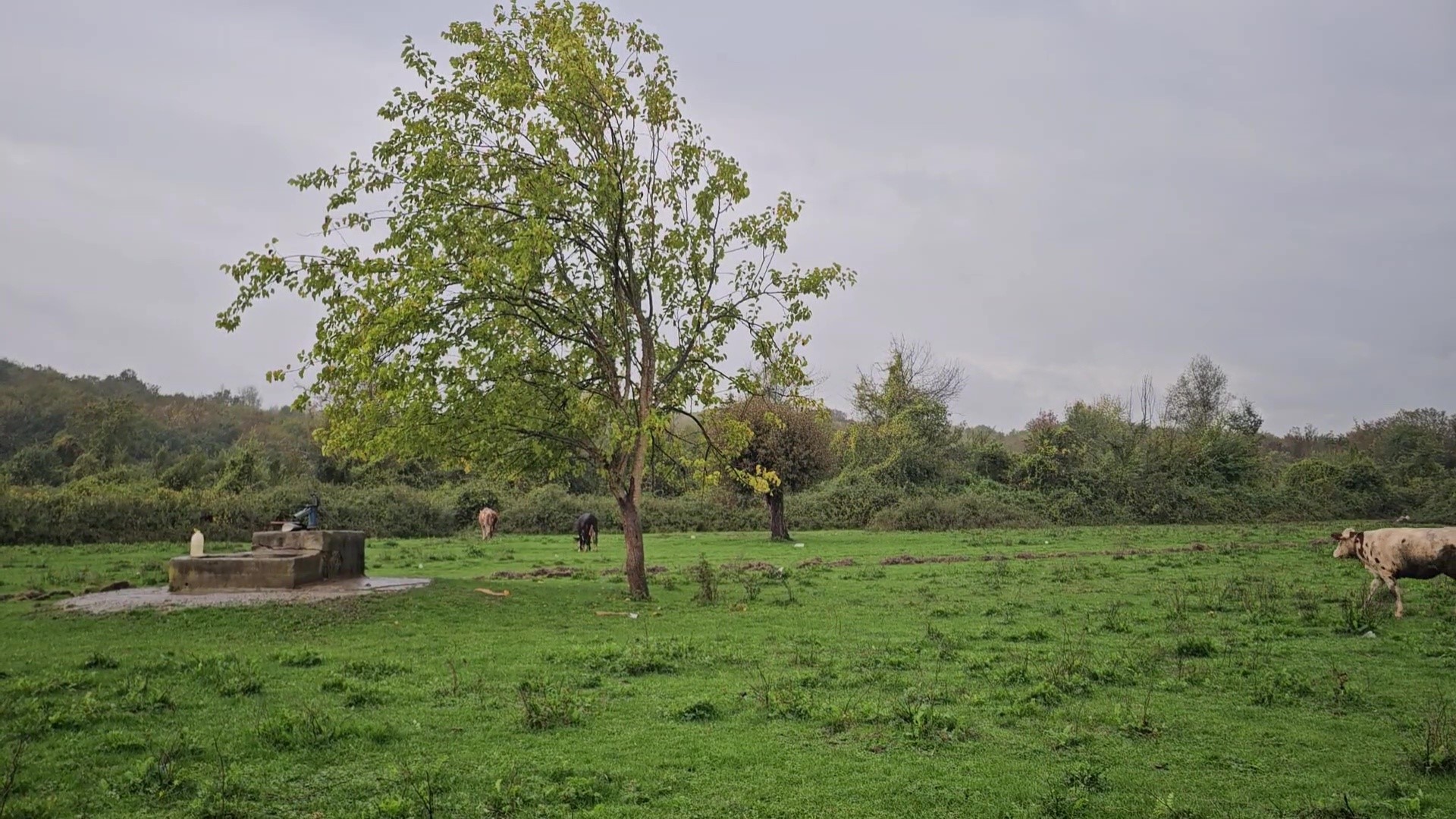Su Kuyusunda Korkunç Manzara! Kimliği Belirsiz Kadın Cesedi Bulundu (4)
