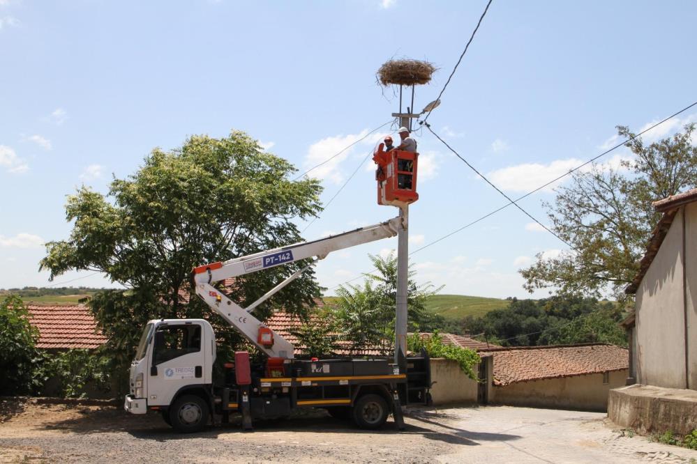 Trakya Leylek Göç (2)