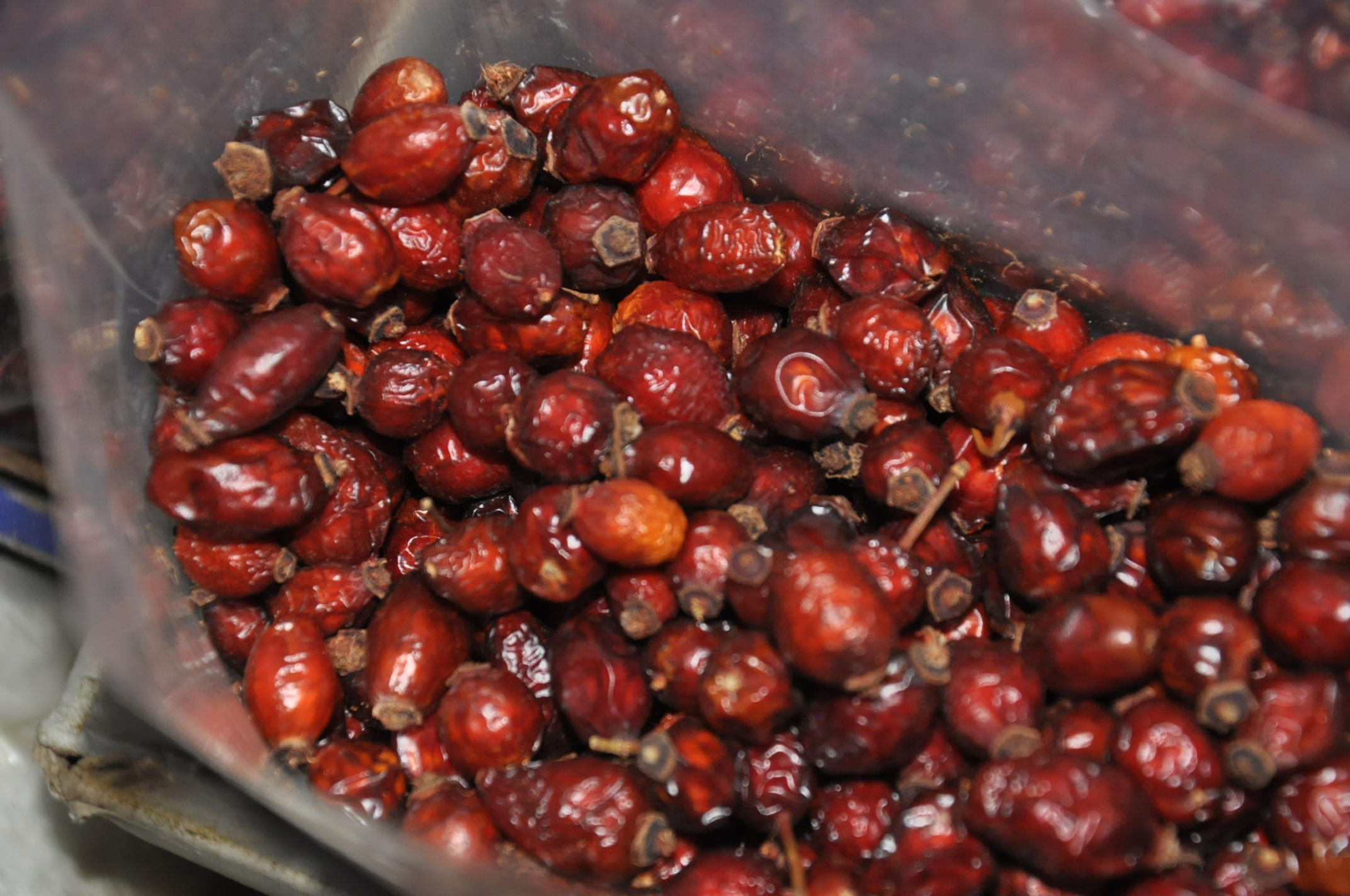 Turgay Iyikahveci (1)