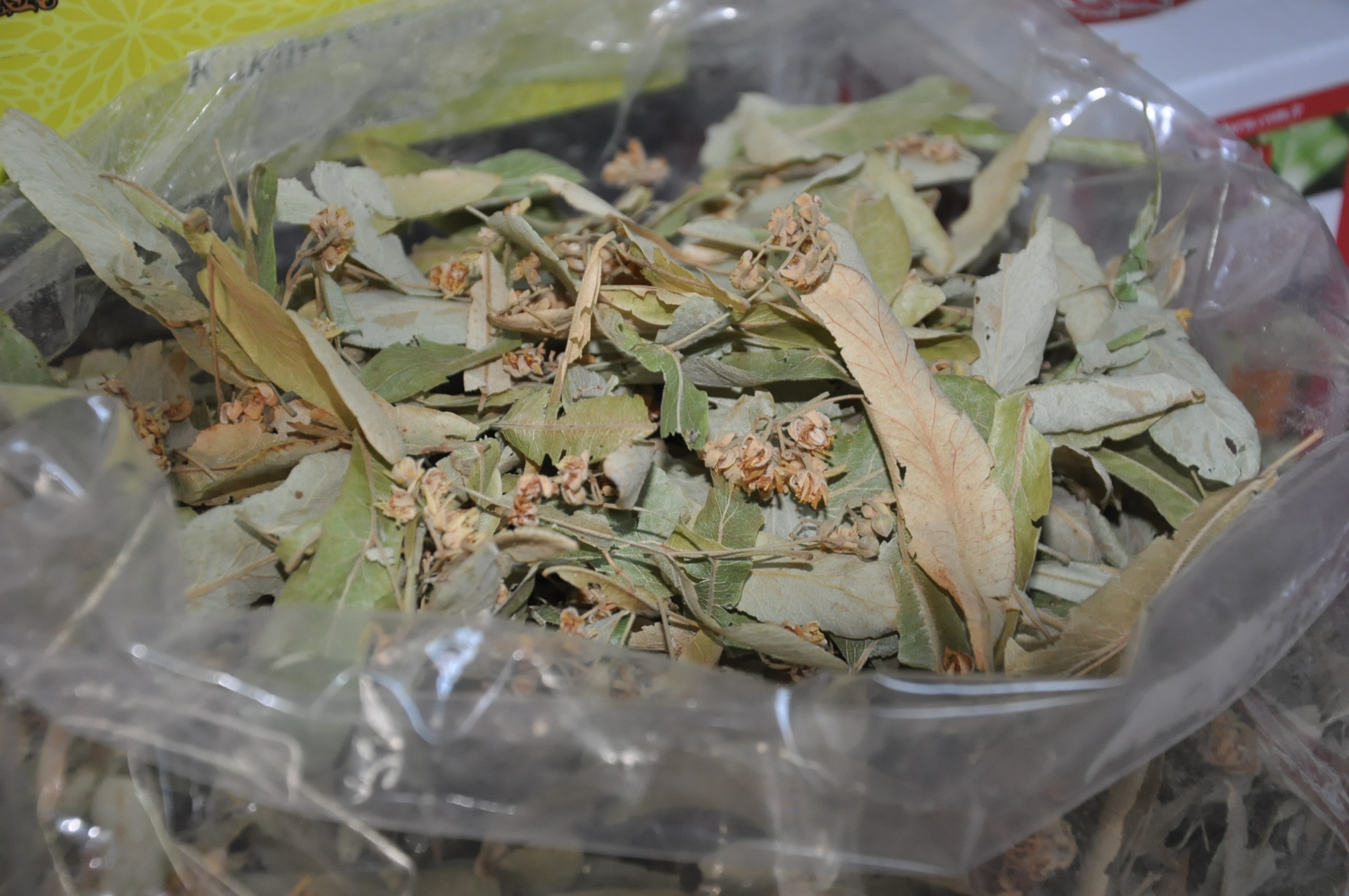 Turgay Iyikahveci (5)