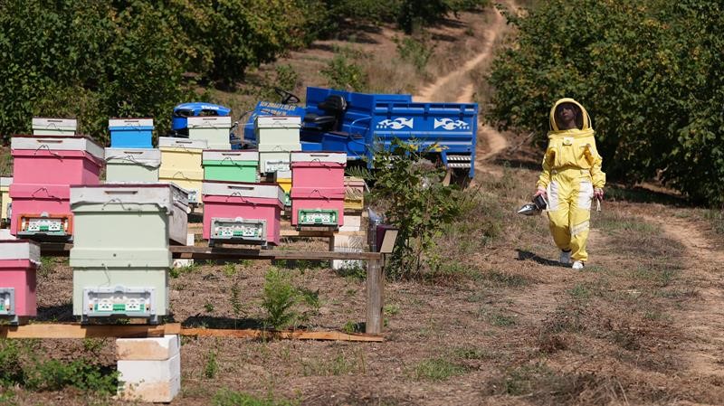 Türk Genç Arıcılar (3)
