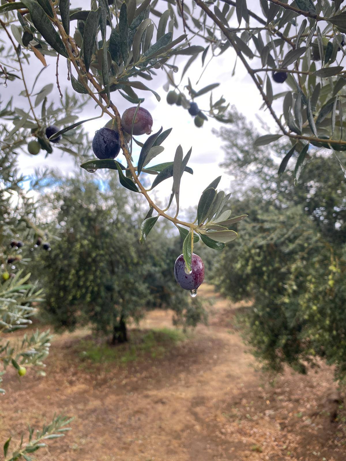 Üreticilere Çifte Uyarı (2)