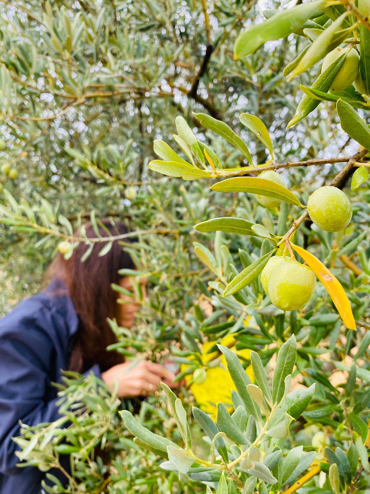 Üreticilere Çifte Uyarı (6)