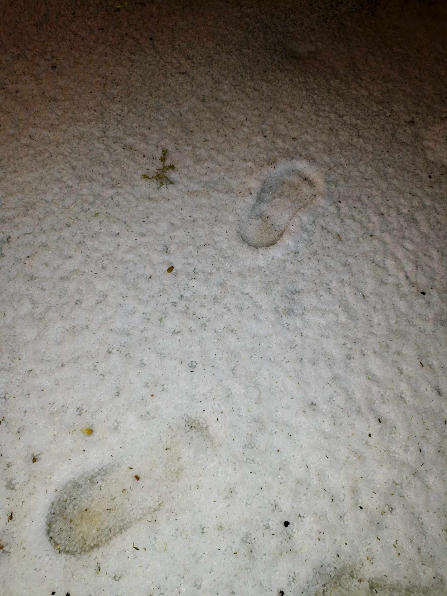 Whatsapp Image 2025 10 08 At 11.17.10 (1)