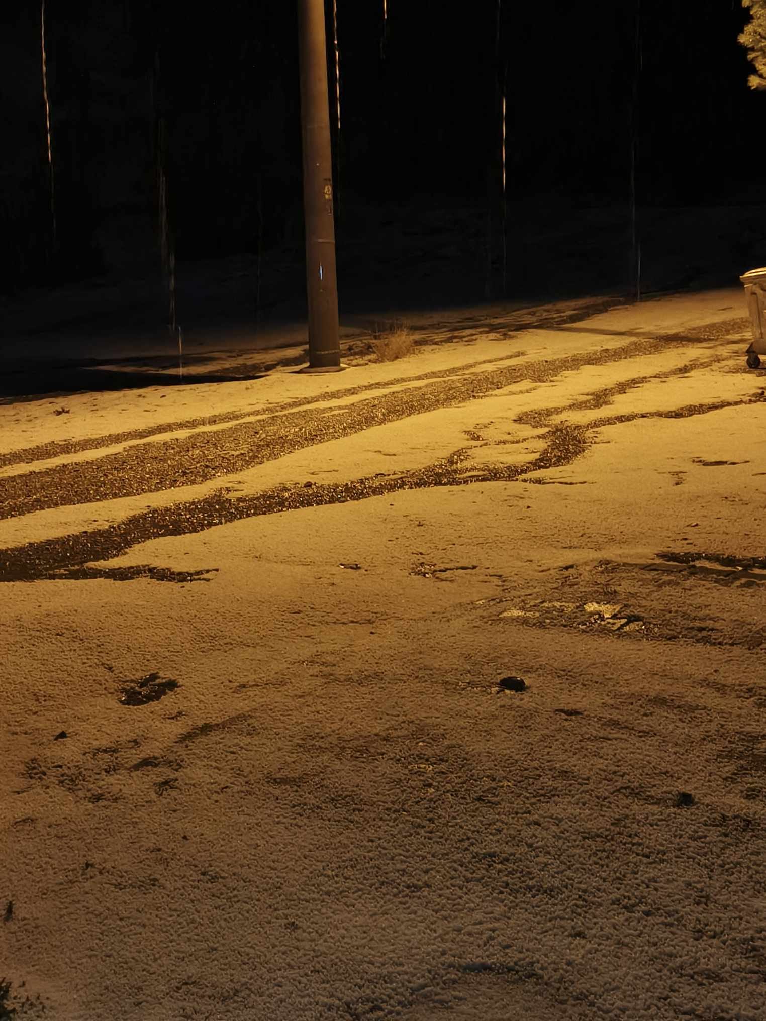 Whatsapp Image 2025 10 08 At 11.17.11