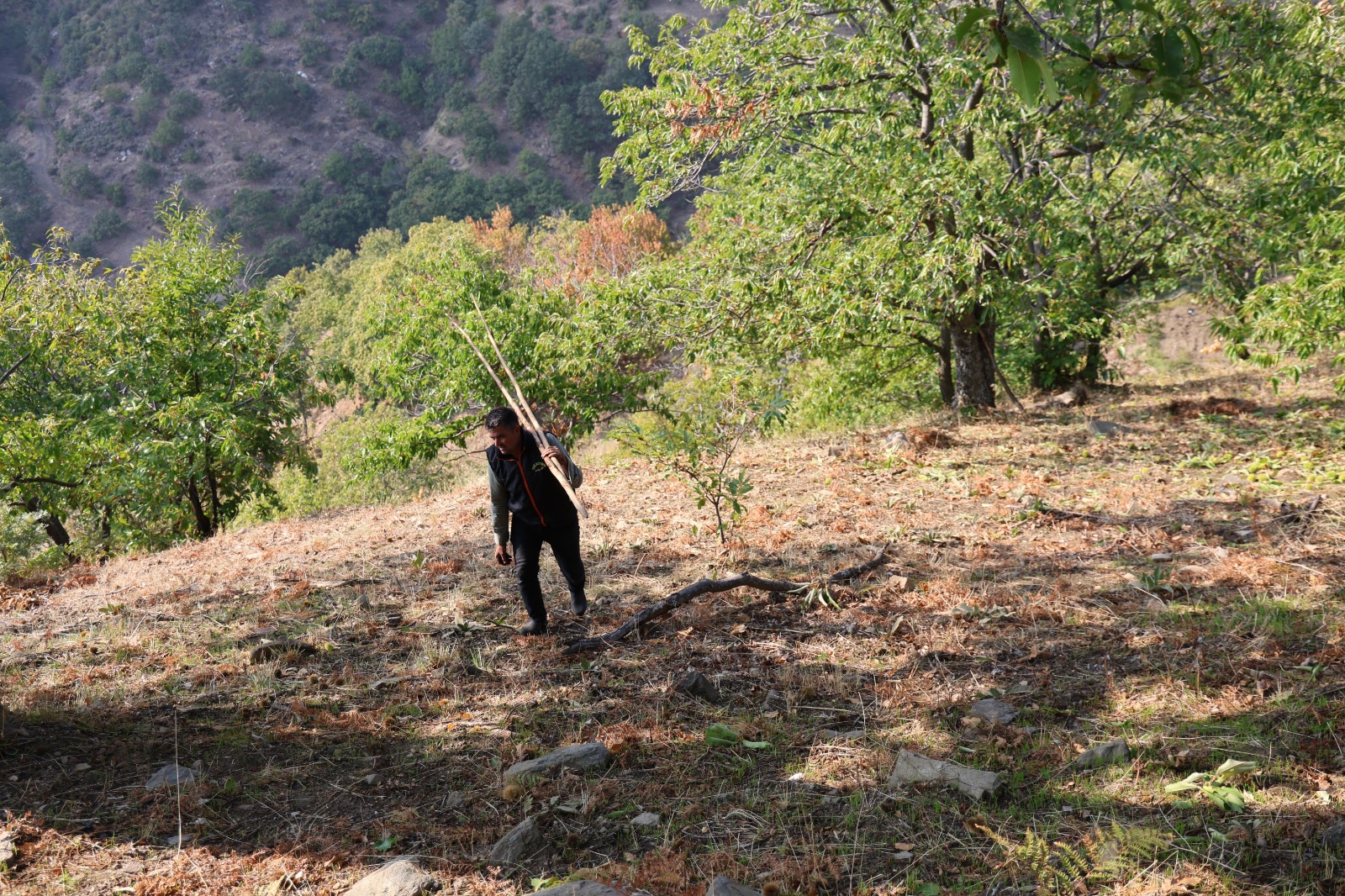 Whatsapp Image 2025 10 18 At 16.00.06 (1)