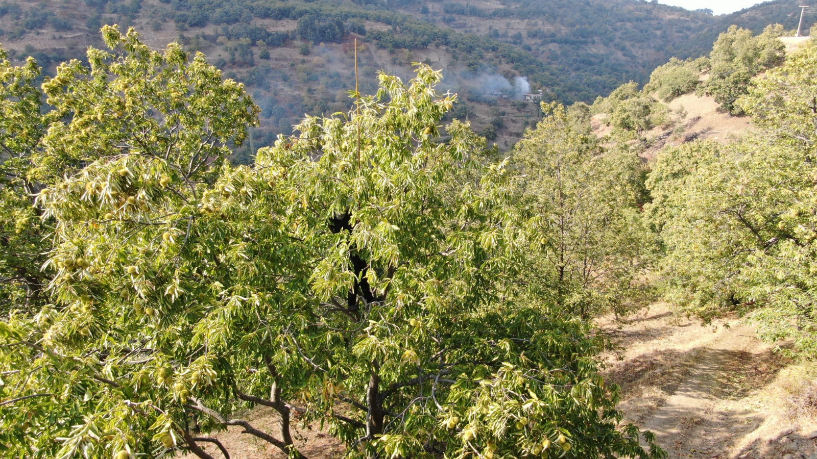 Whatsapp Image 2025 10 18 At 16.00.06 (10)