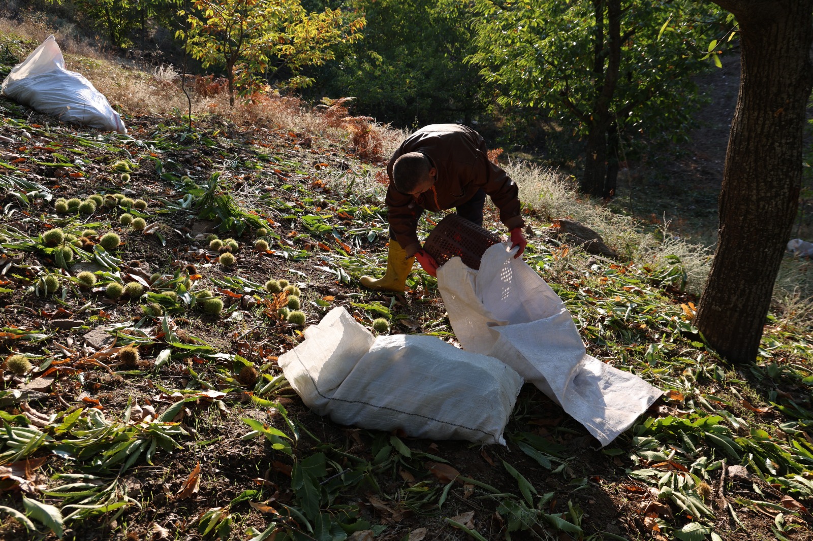 Whatsapp Image 2025 10 18 At 16.00.06 (2)