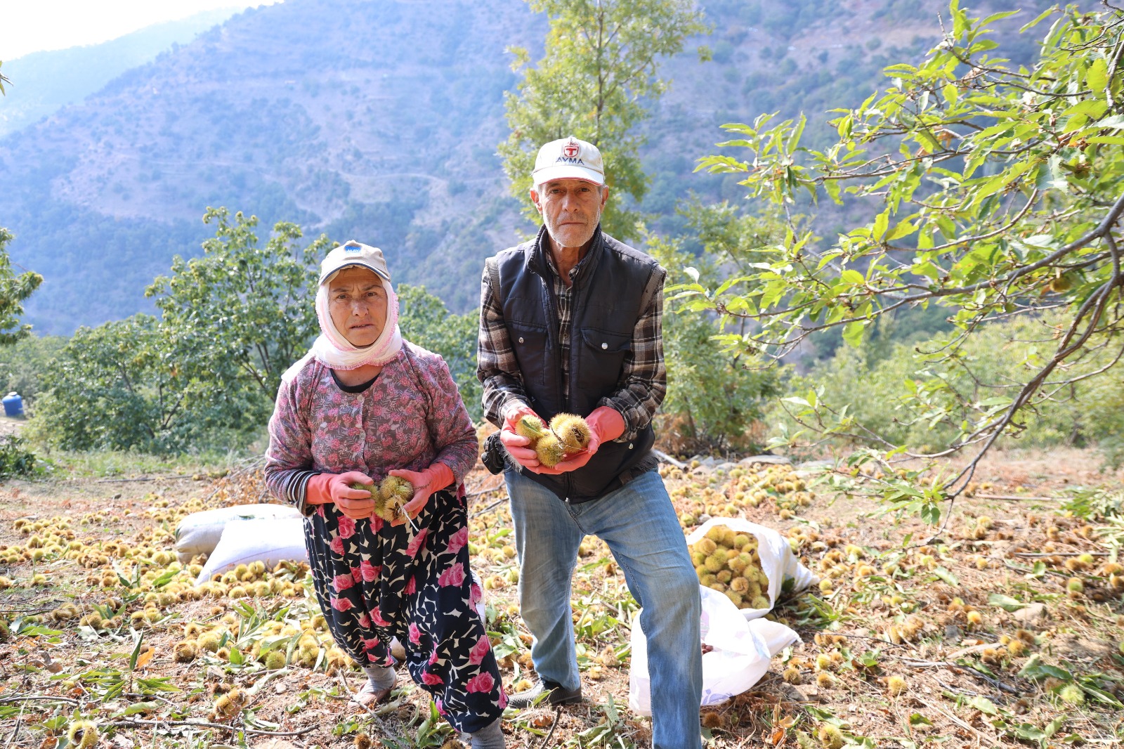 Whatsapp Image 2025 10 18 At 16.00.06 (3)