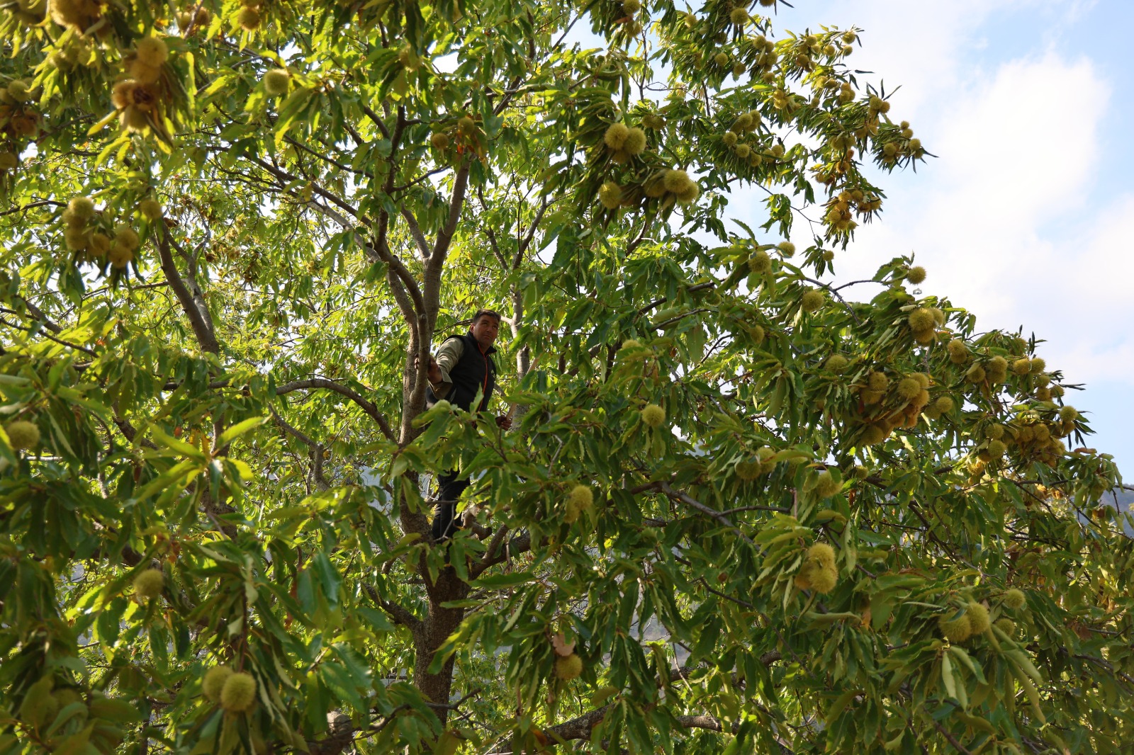 Whatsapp Image 2025 10 18 At 16.00.06 (4)