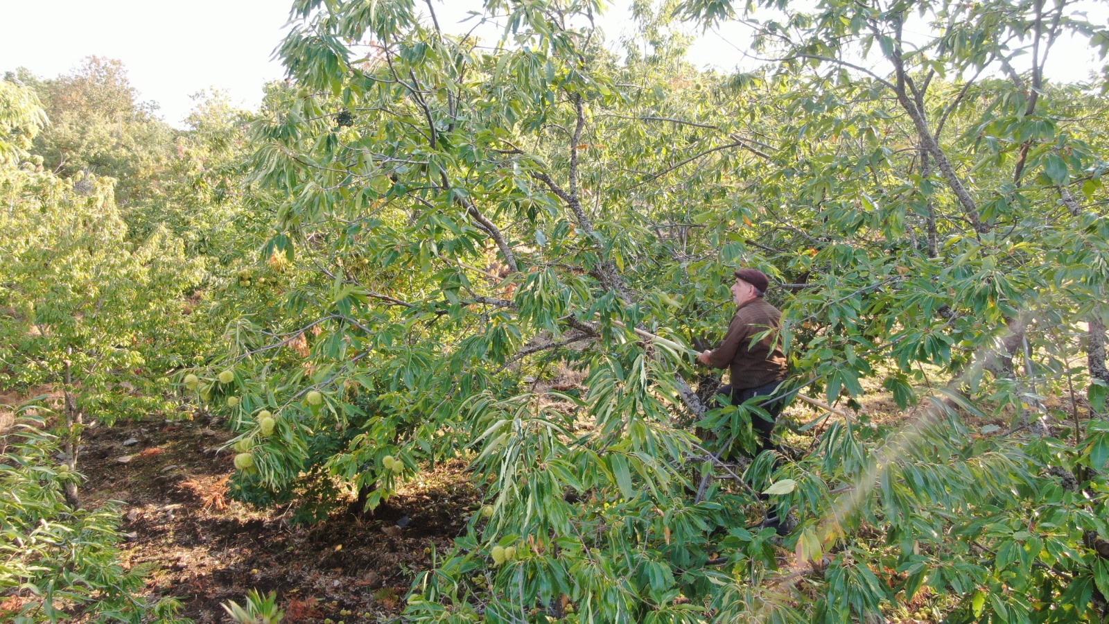 Whatsapp Image 2025 10 18 At 16.00.06 (6)