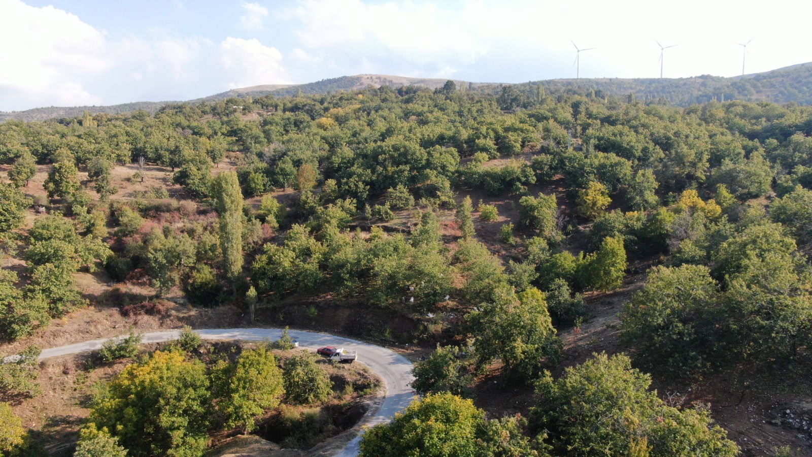 Whatsapp Image 2025 10 18 At 16.00.06 (7)