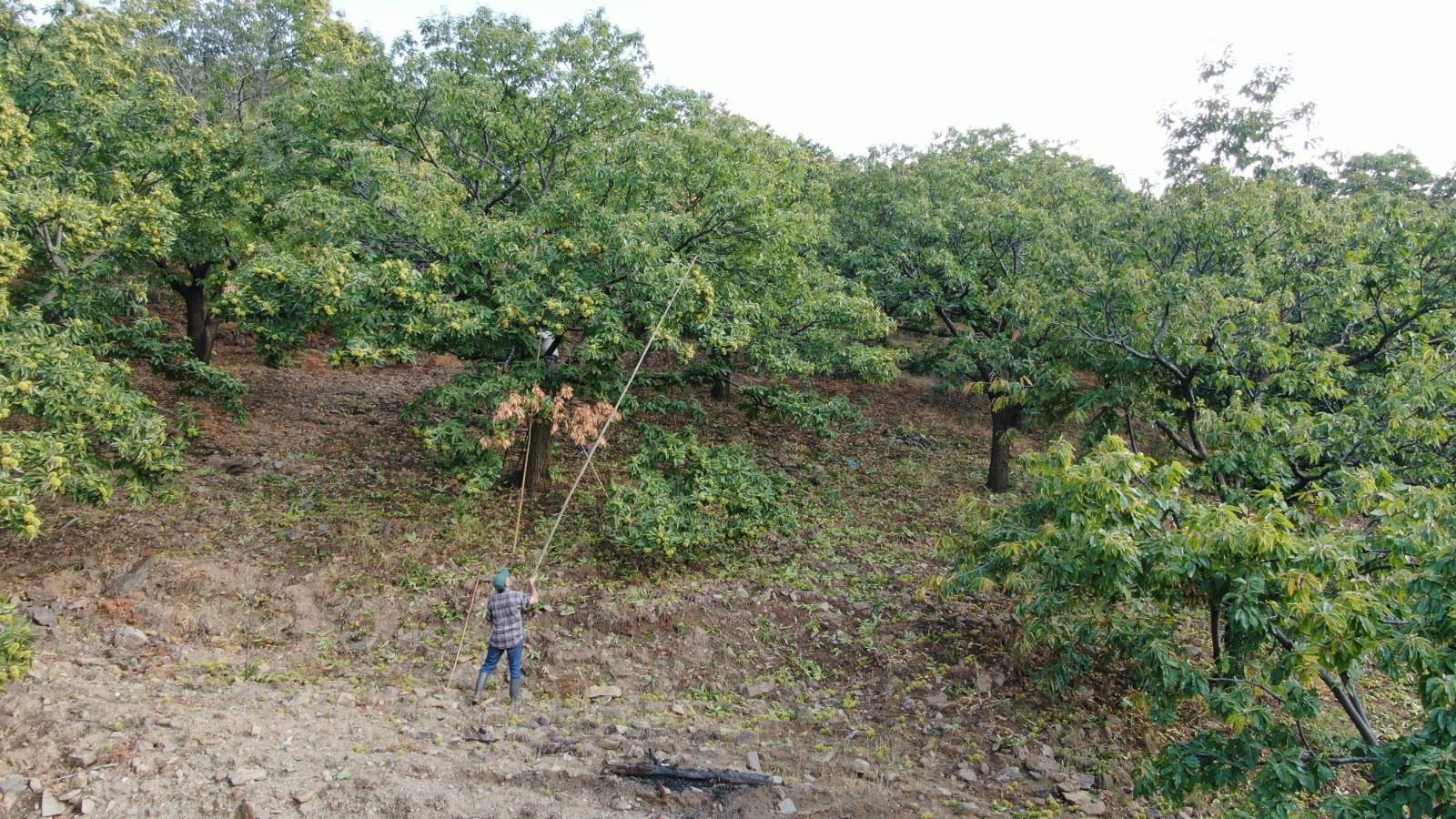 Whatsapp Image 2025 10 18 At 16.00.06 (9)