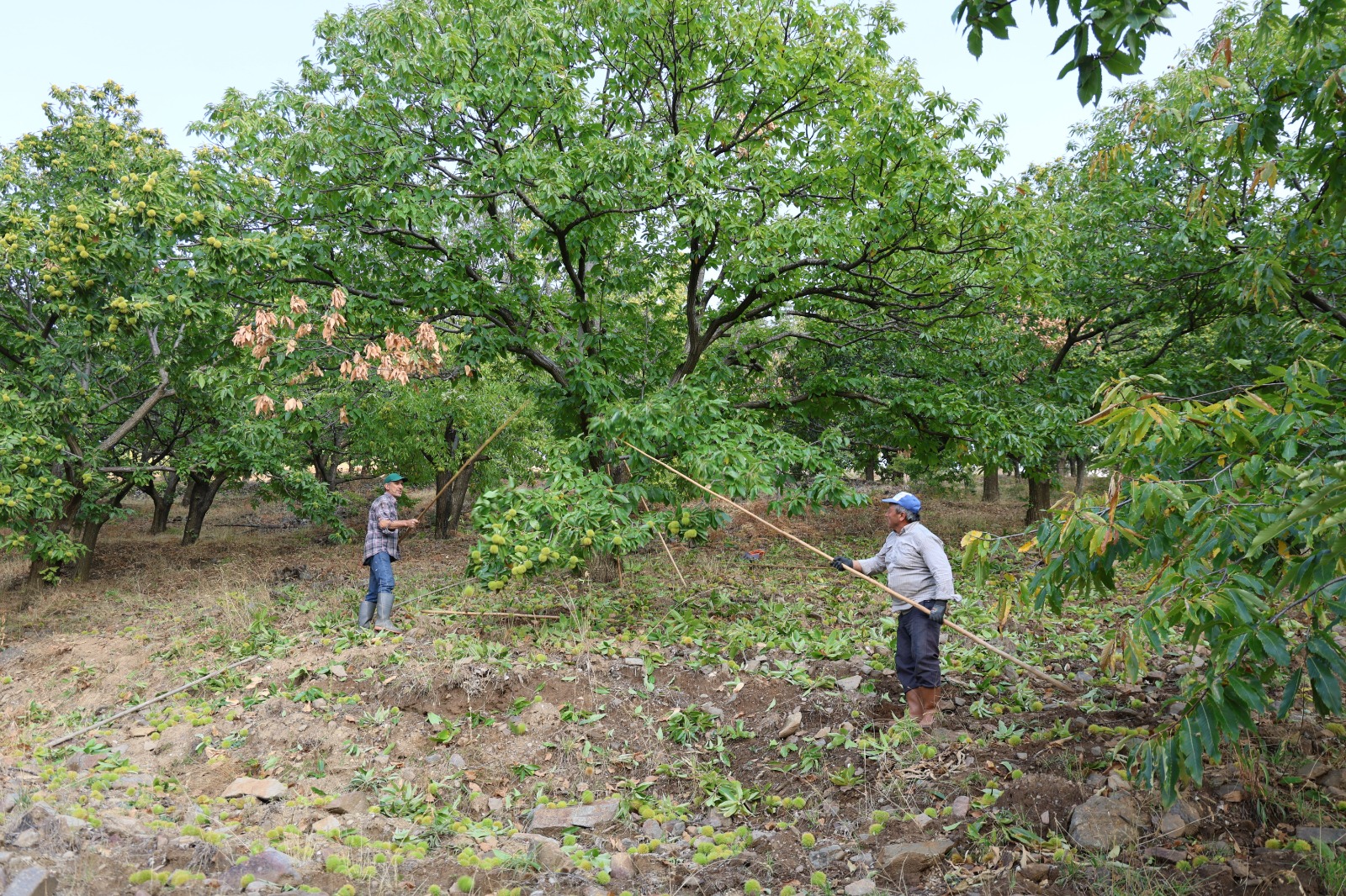 Whatsapp Image 2025 10 18 At 16.00.06