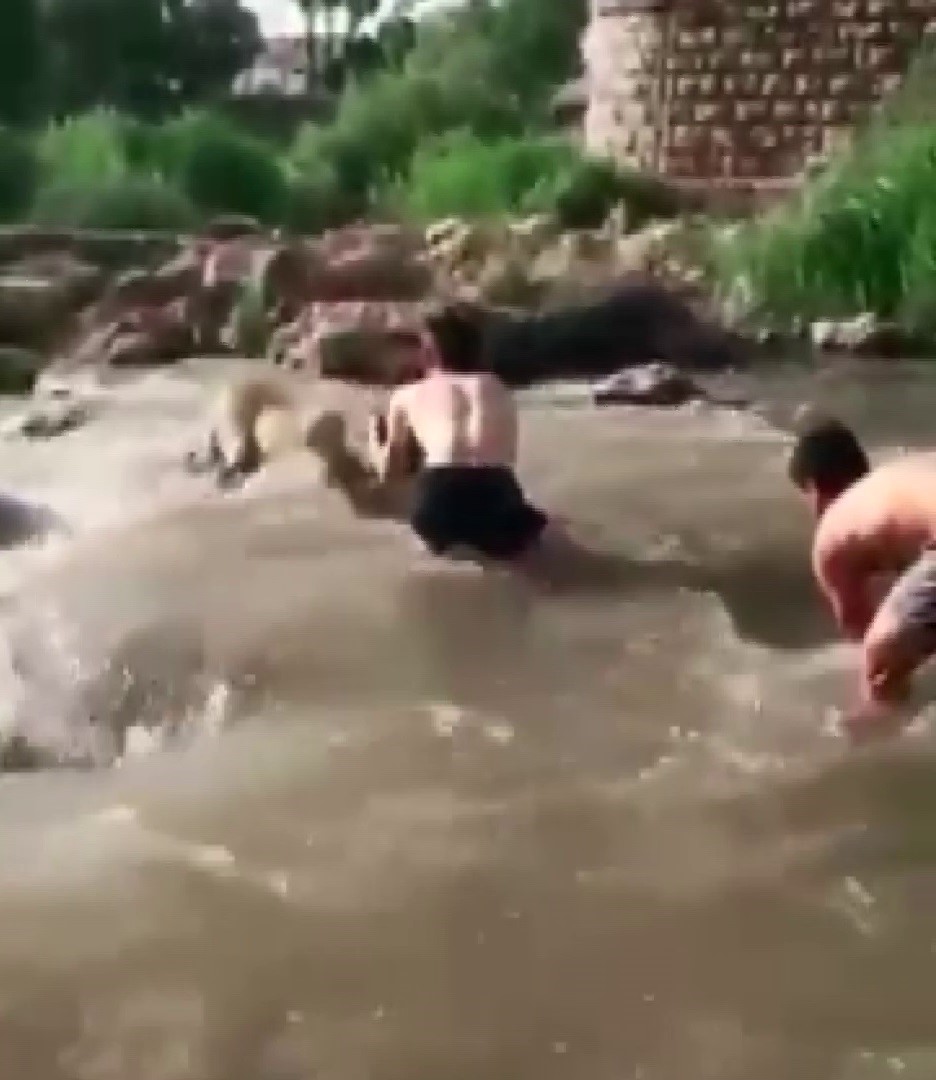 Yürekleri Isıtan Anlar Irmakta Mahsur Kalan Köpek, Duyarlı Gençler Sayesinde Kurtuldu (3)