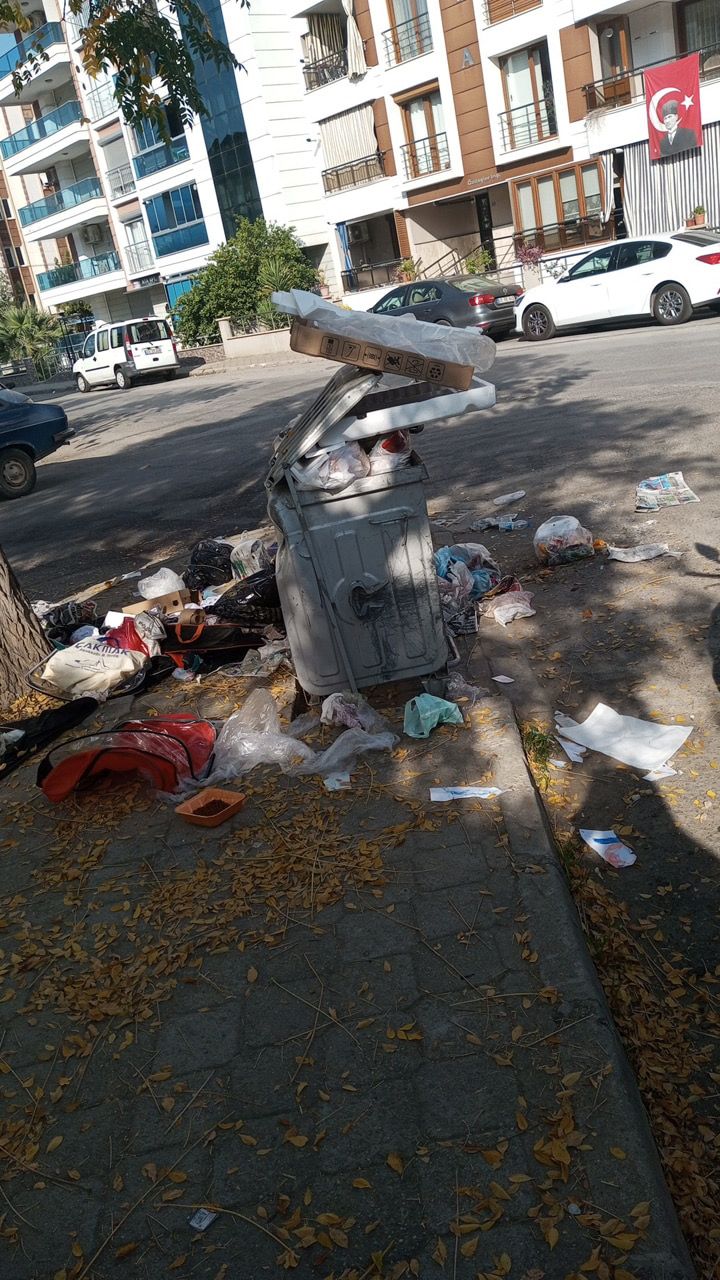 01D092D9 E564 4D8B Bbd5 Bcbce5Db774C