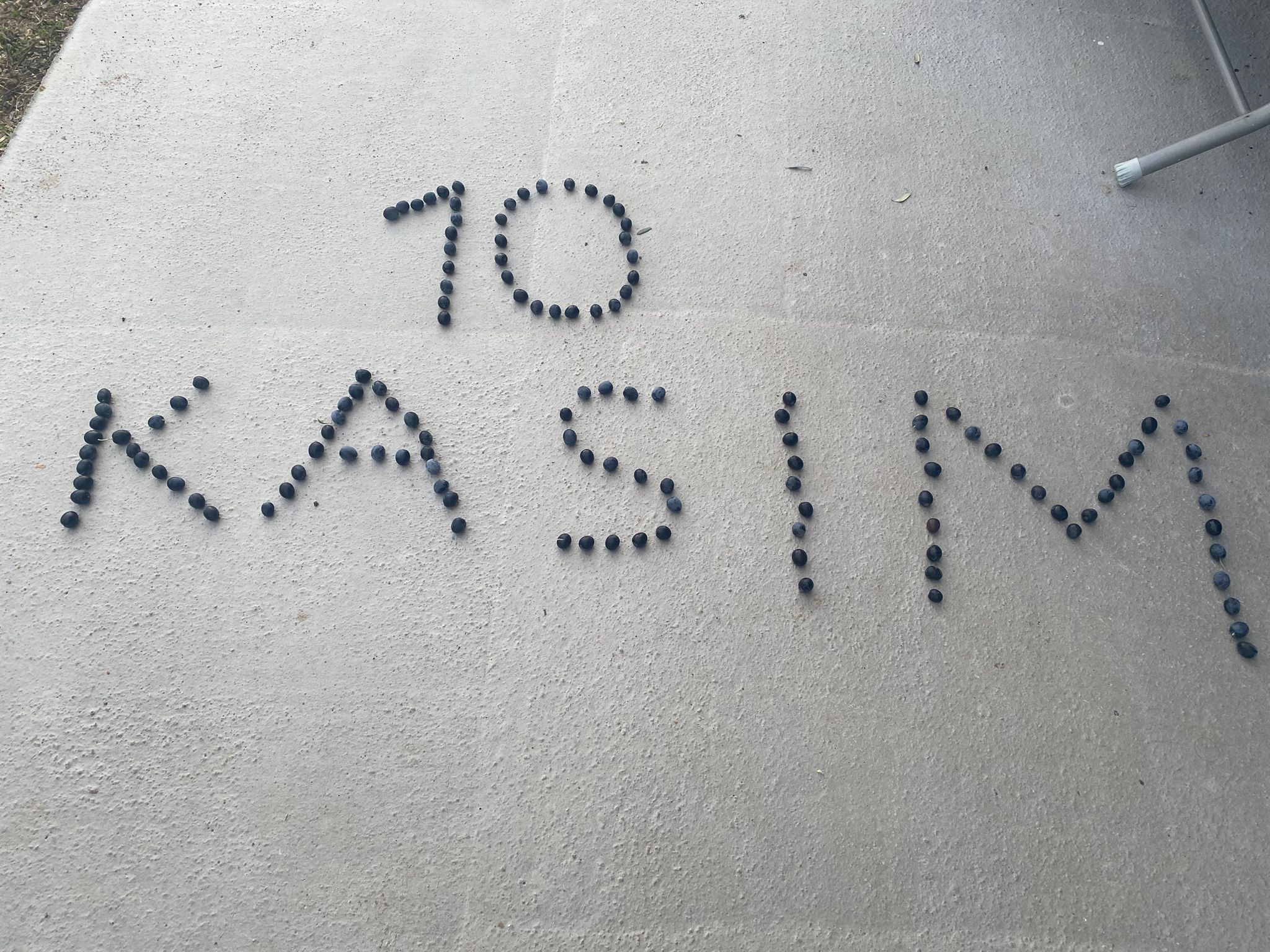 096Cbf46 E736 45A8 9F86 Ffeedcfb2944