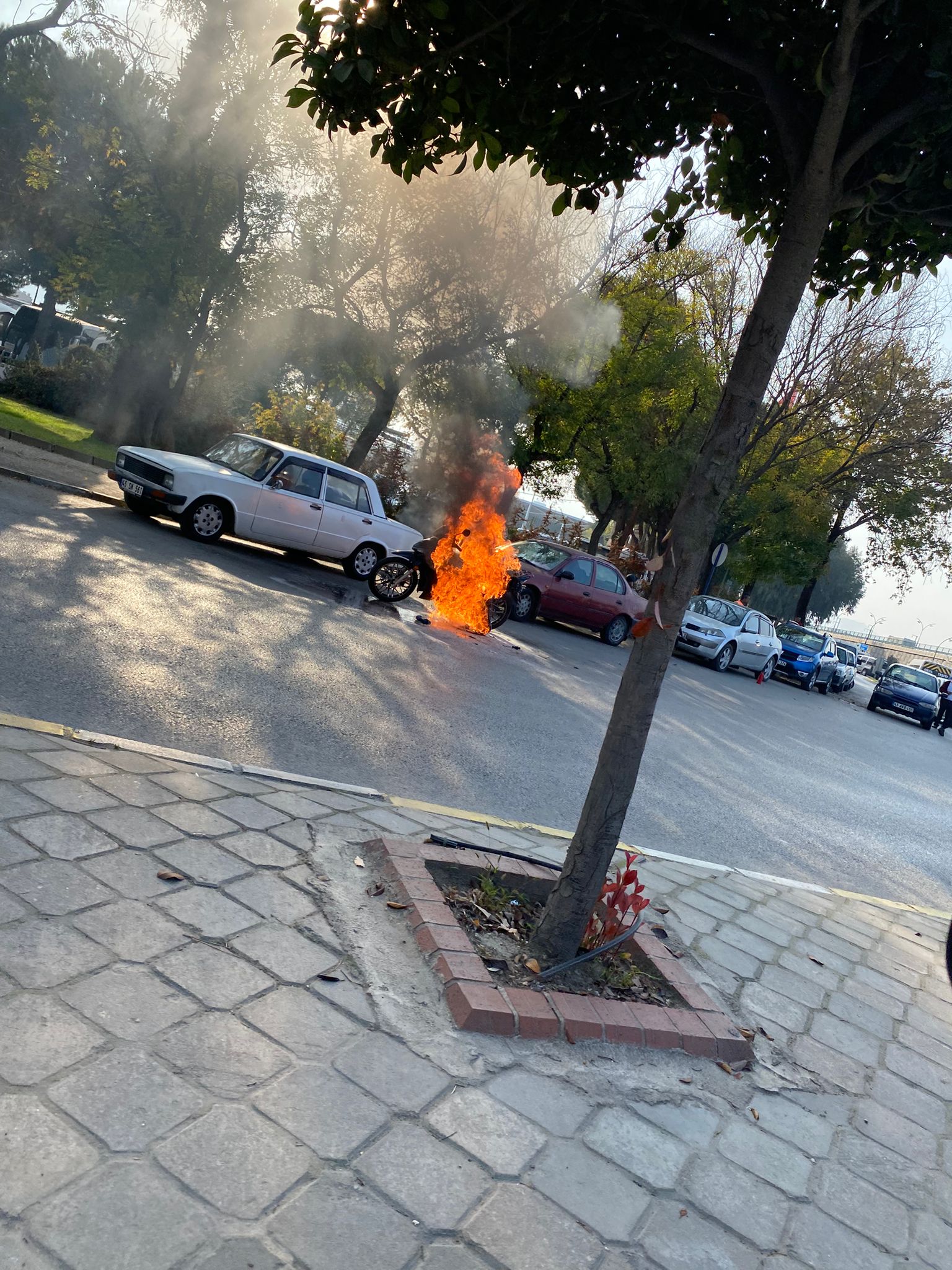 1A19Ce53 7C71 482B 9302 4C14B0Be8680