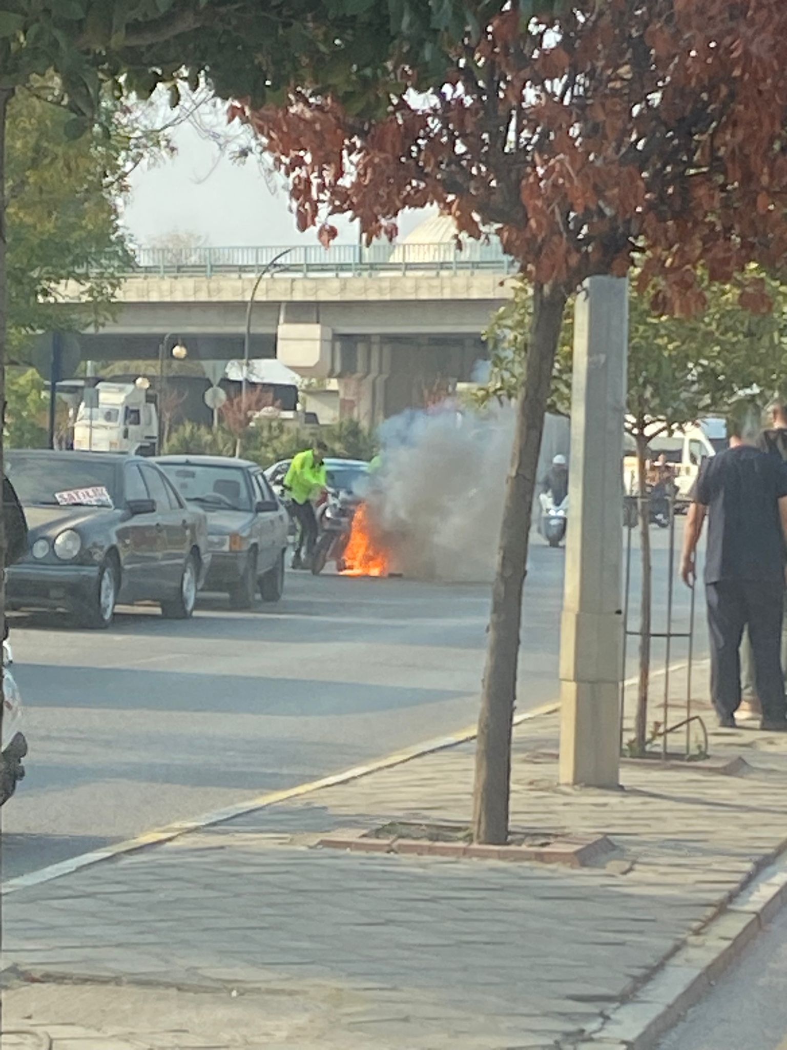 2E1955D4 0465 438C Abf6 Bddf47E206D6