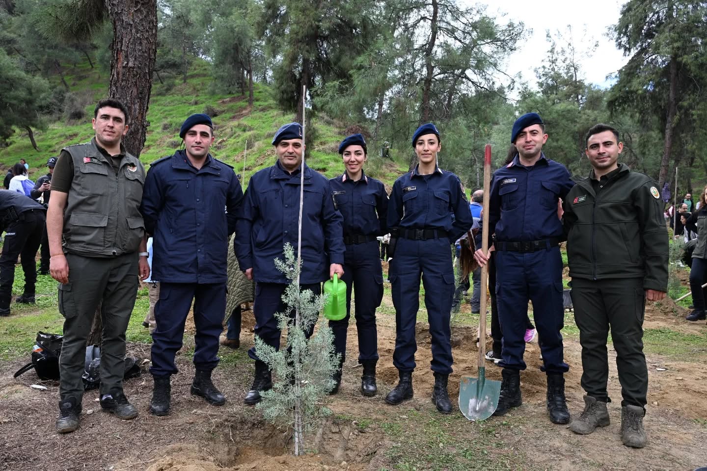 579634136 18395968870192704 3864541882036944087 N