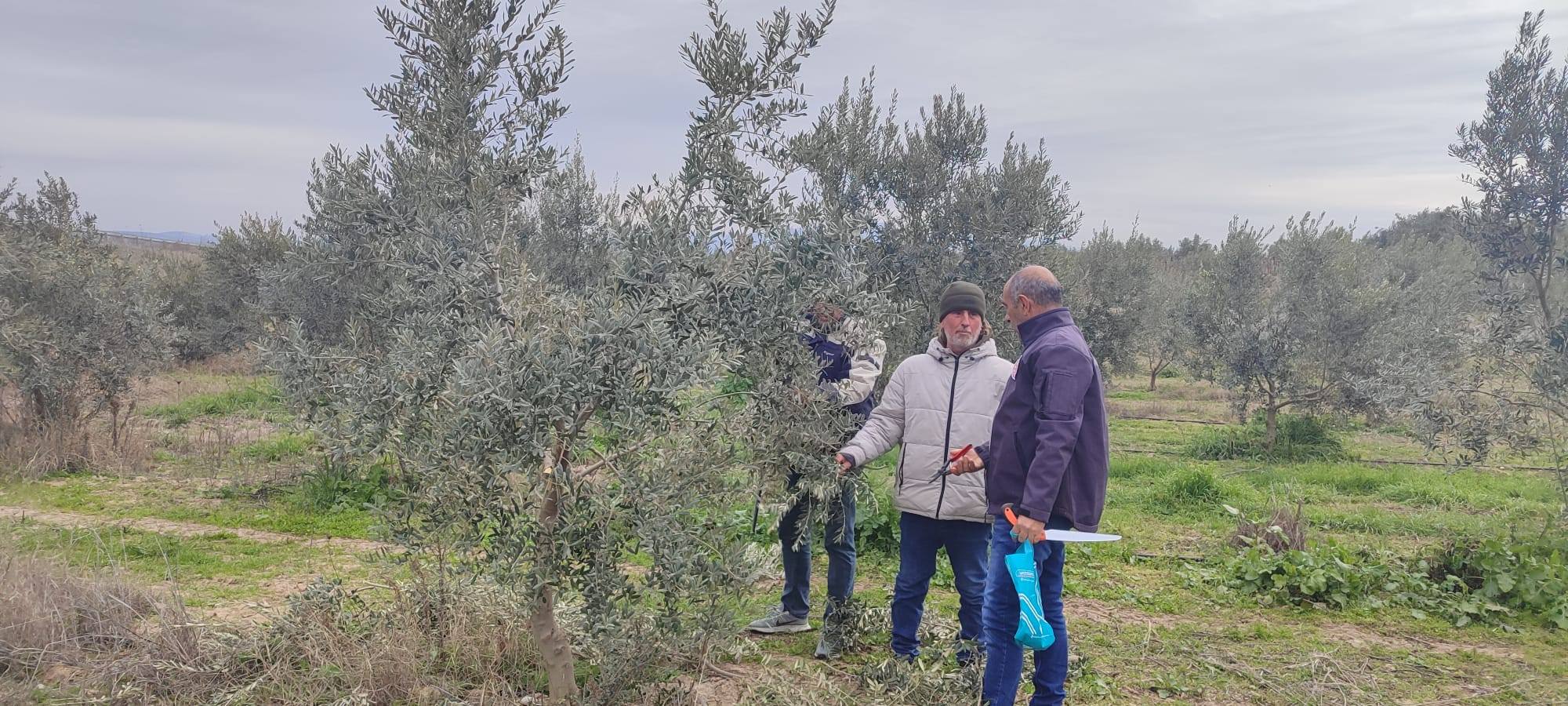 590687290 1282759987202220 4008860128878390527 N