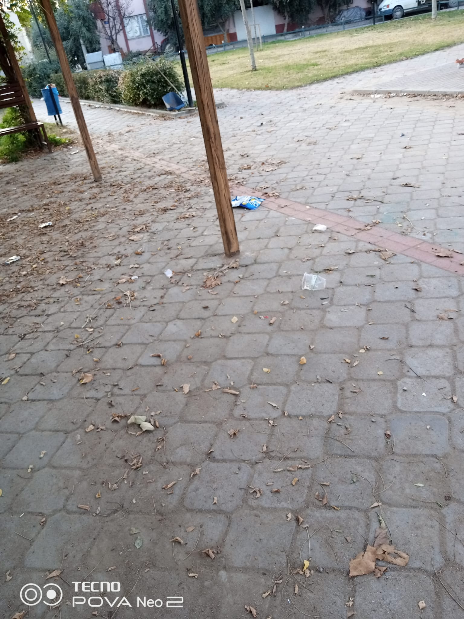 619065B1 F669 466D 9Fa1 036Ac3Cf4E50