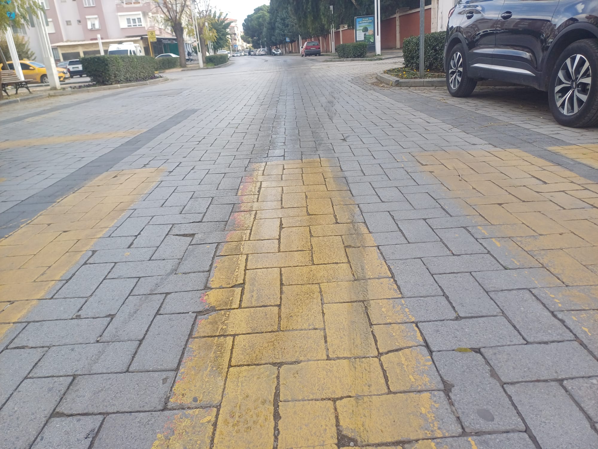 8737Ff61 4Ec2 4B13 9306 Bb767E2C2074