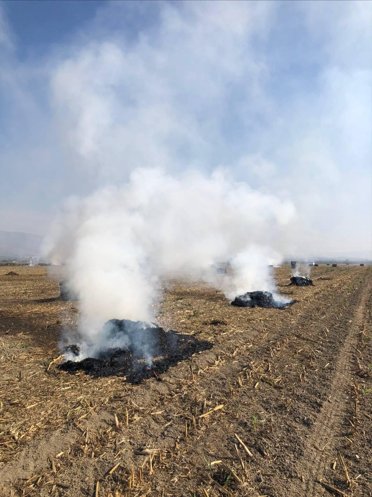 953F90D2 0770 4684 A655 2650266D83B7