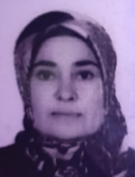 Ağaç Budama Sırasında Ölüm 56 Yaşındaki Kadın Ağaçtan Düşerek Hayatını Kaybetti (2)