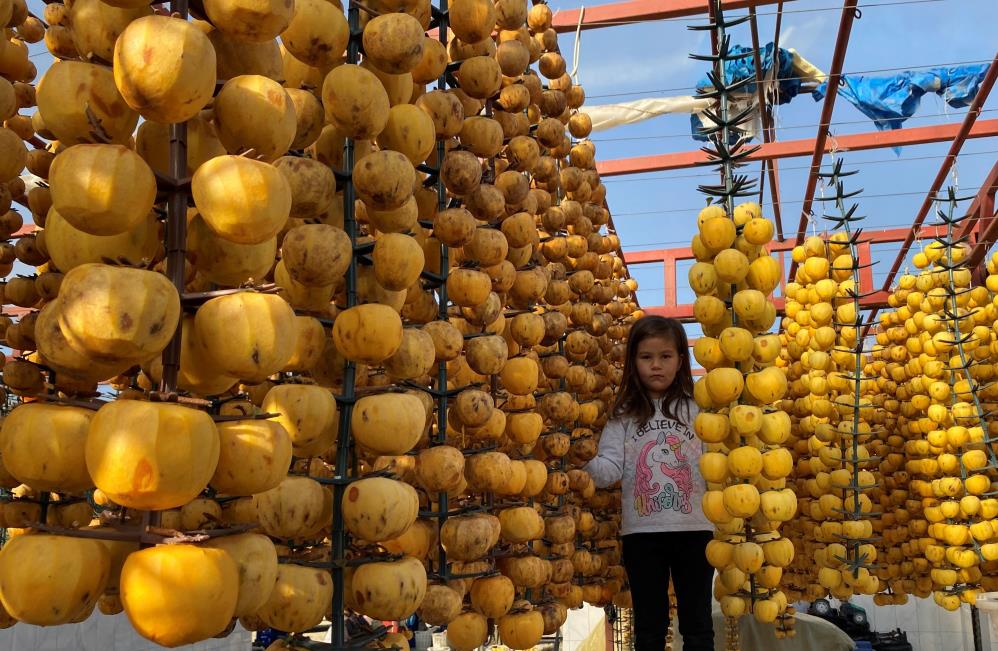 Alaşehi̇r Festi̇val (2)