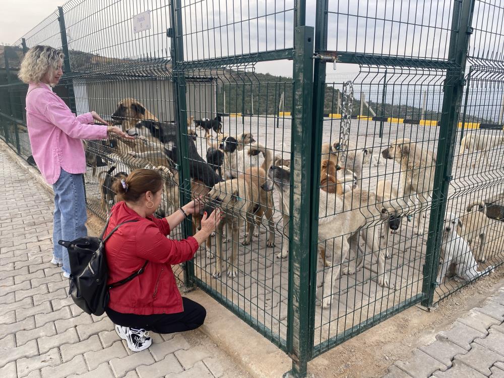 Alaşehir Hayvan Barınağı (1)-1
