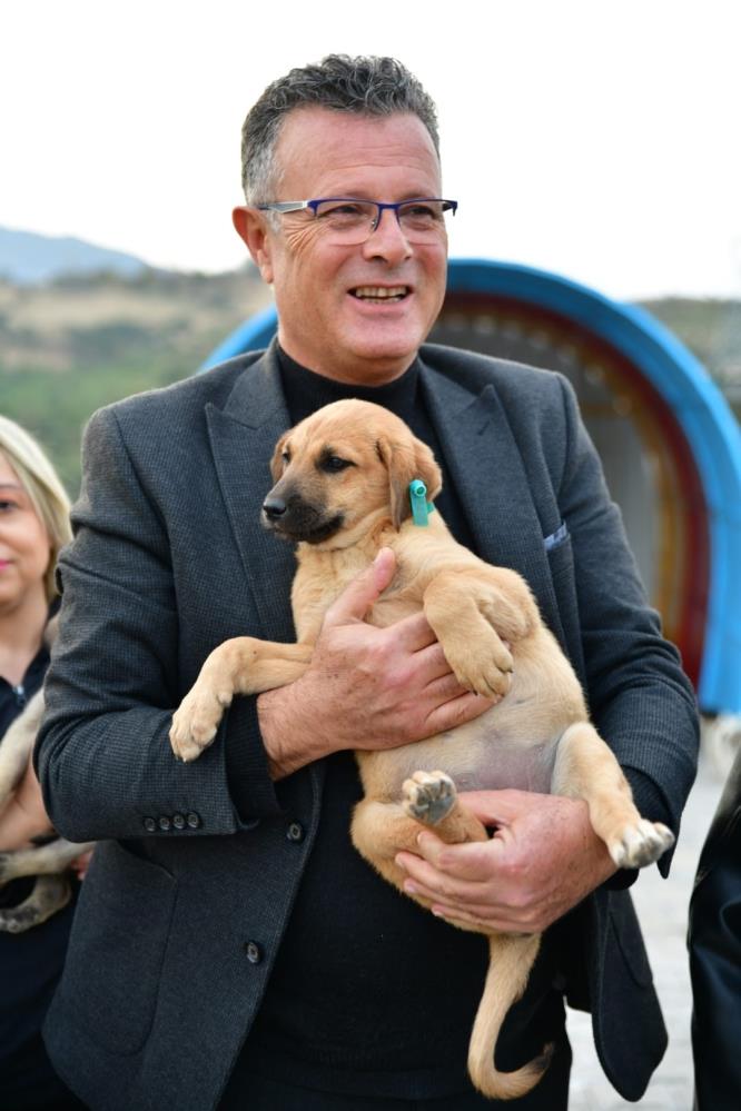 Alaşehir Hayvan Barınağı (2)