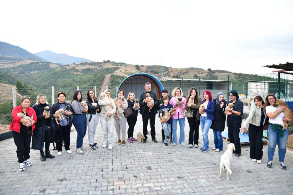 Alaşehir Hayvan Barınağı (4)