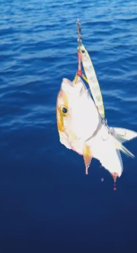 Amator Balikcinin Dev Kopek Baligiyla 1 Saatlik Nefes Kesen Mucadelesi (3)