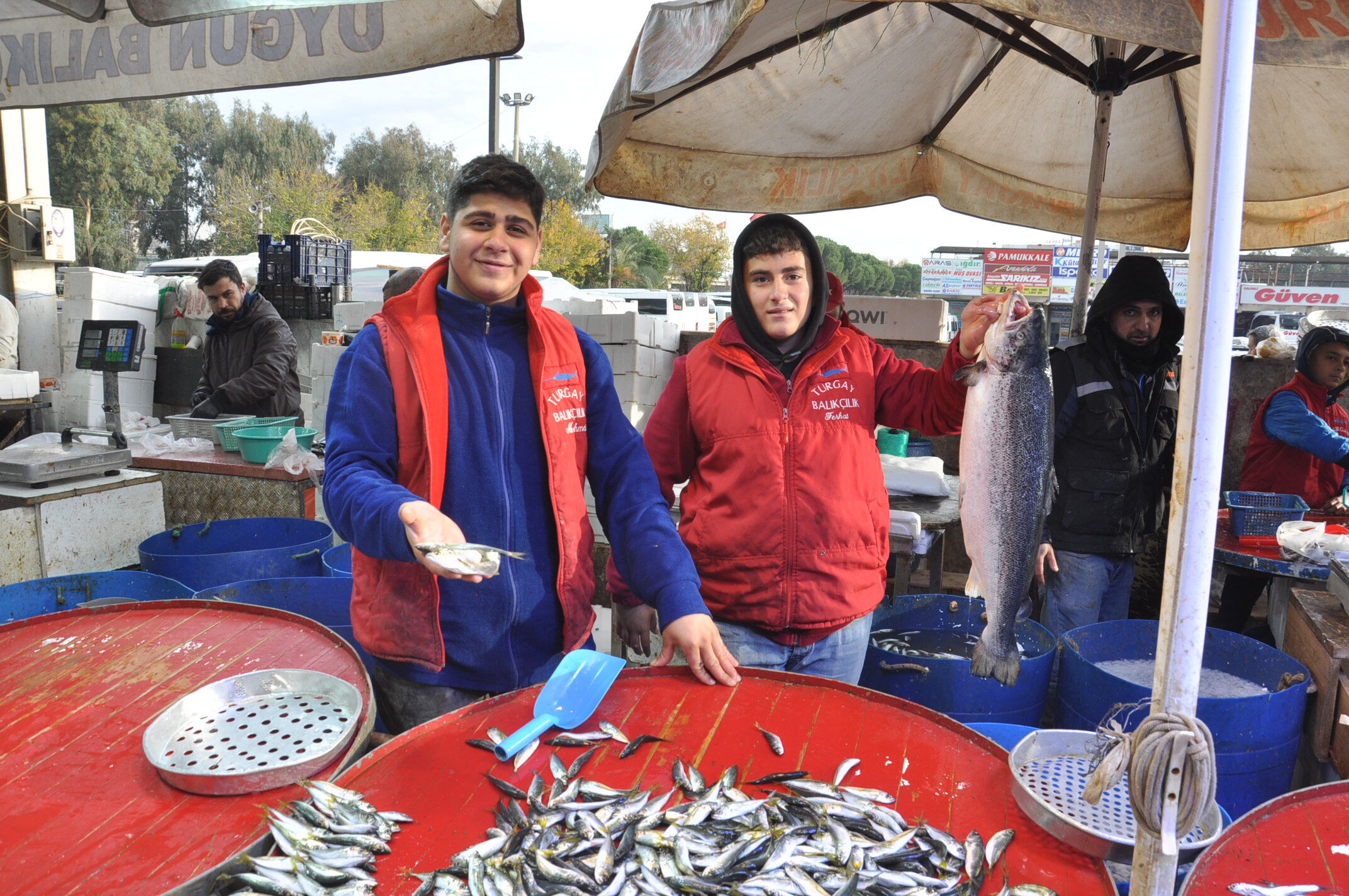 Balık Fiyatları (10)