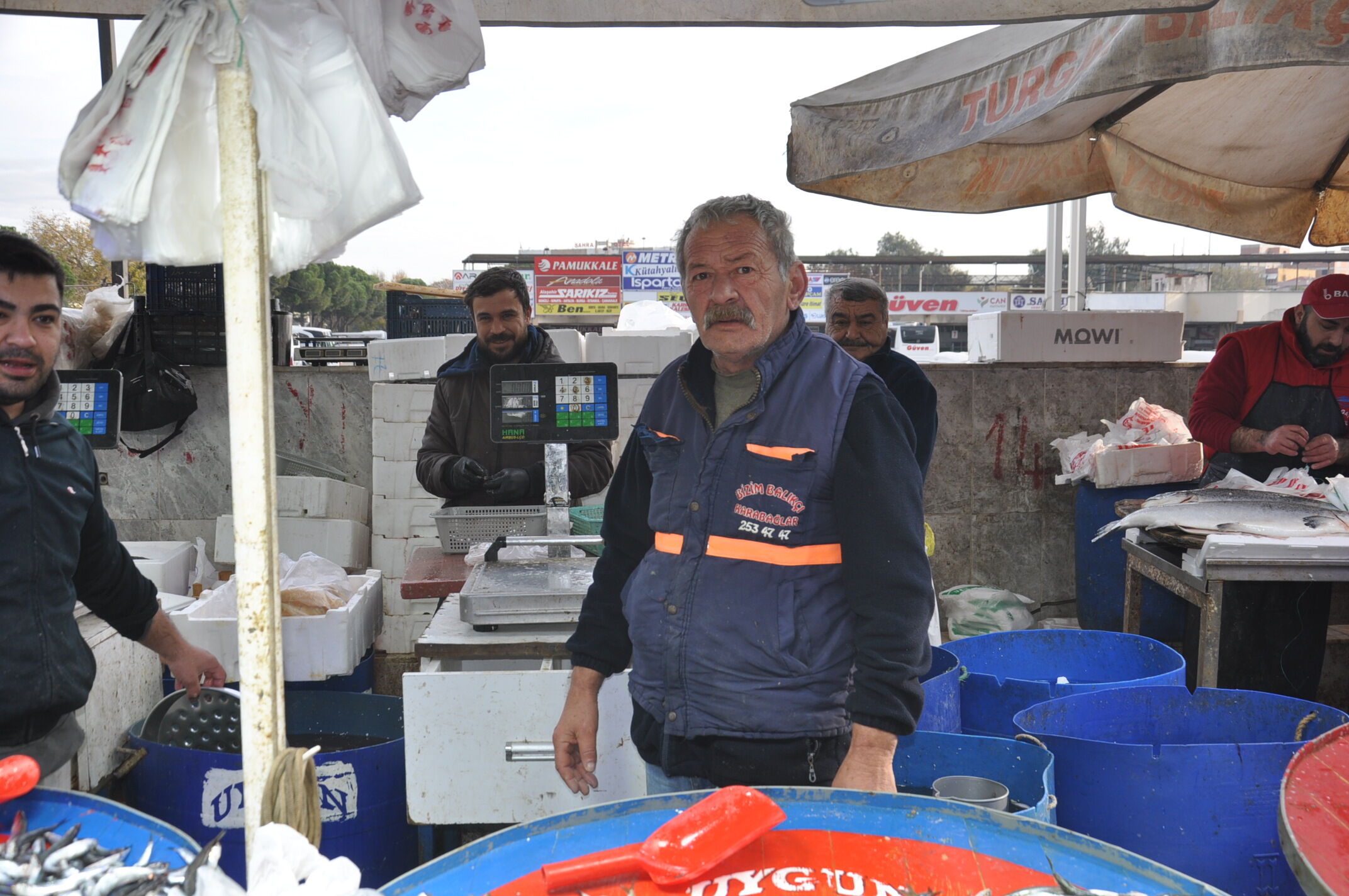 Balık Fiyatları (15)