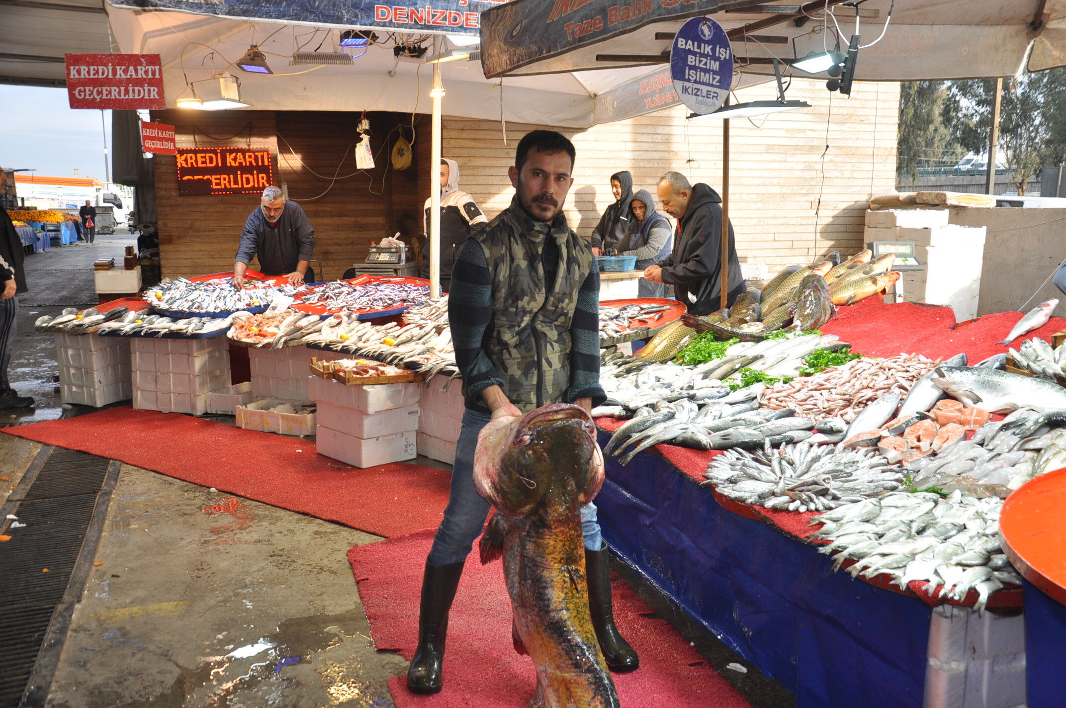 Balık Fiyatları (4)