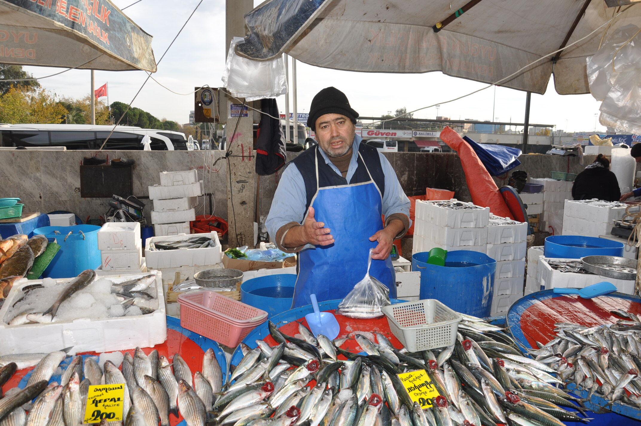 Balık Fiyatları (5)