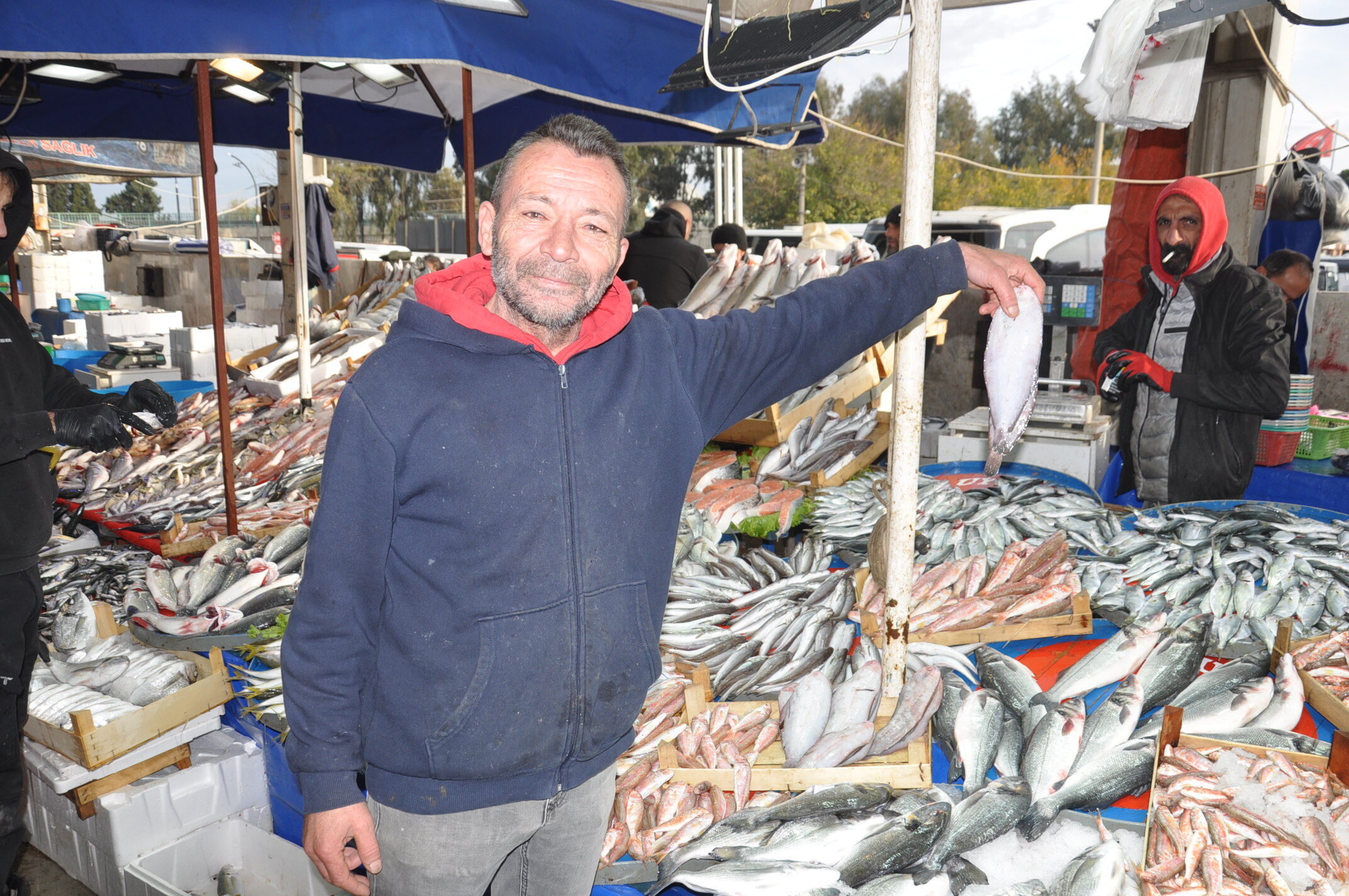 Balık Fiyatları (7)