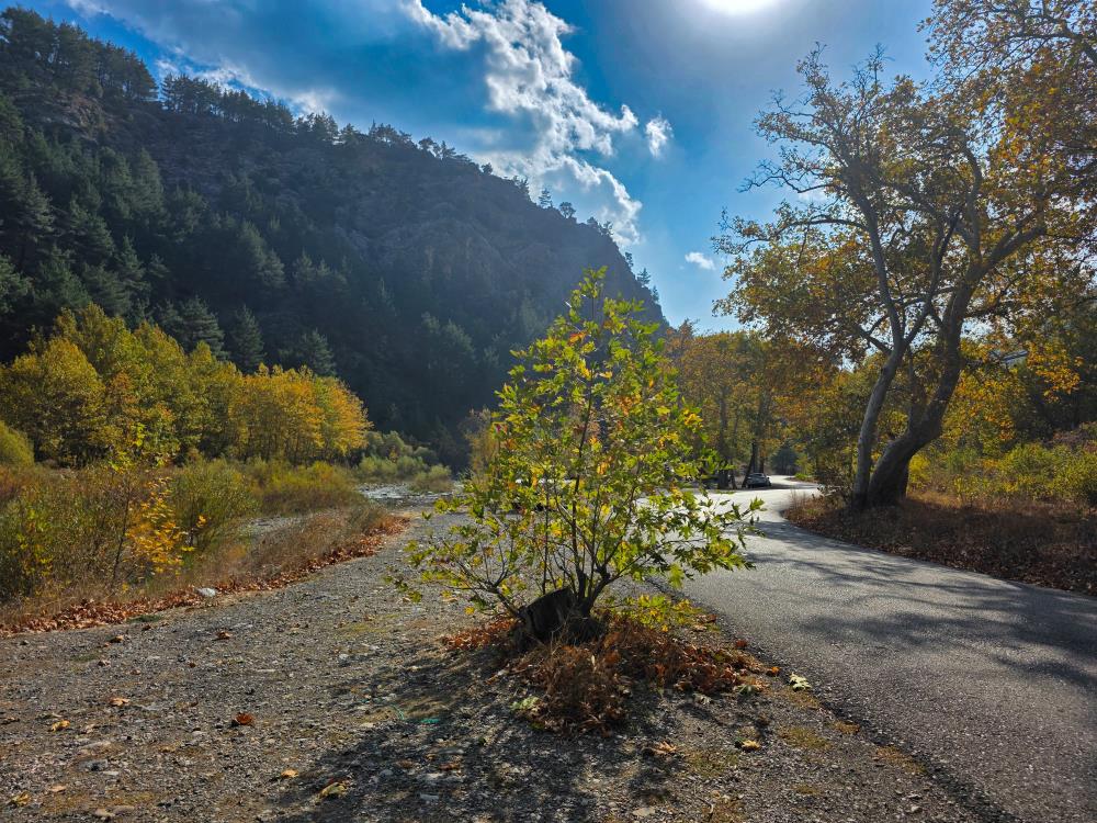 Belemedik Tabiat Parki Sonbaharin Buyuleyici Renklerine Burundu (3)