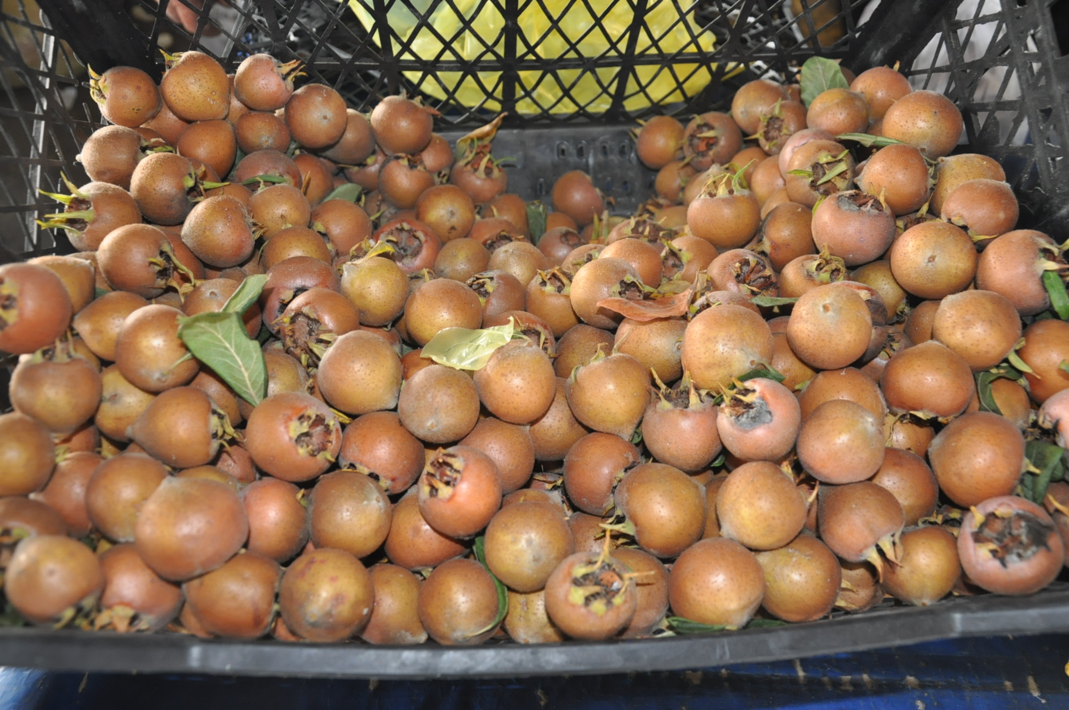 Çarşamba Pazarı (16)