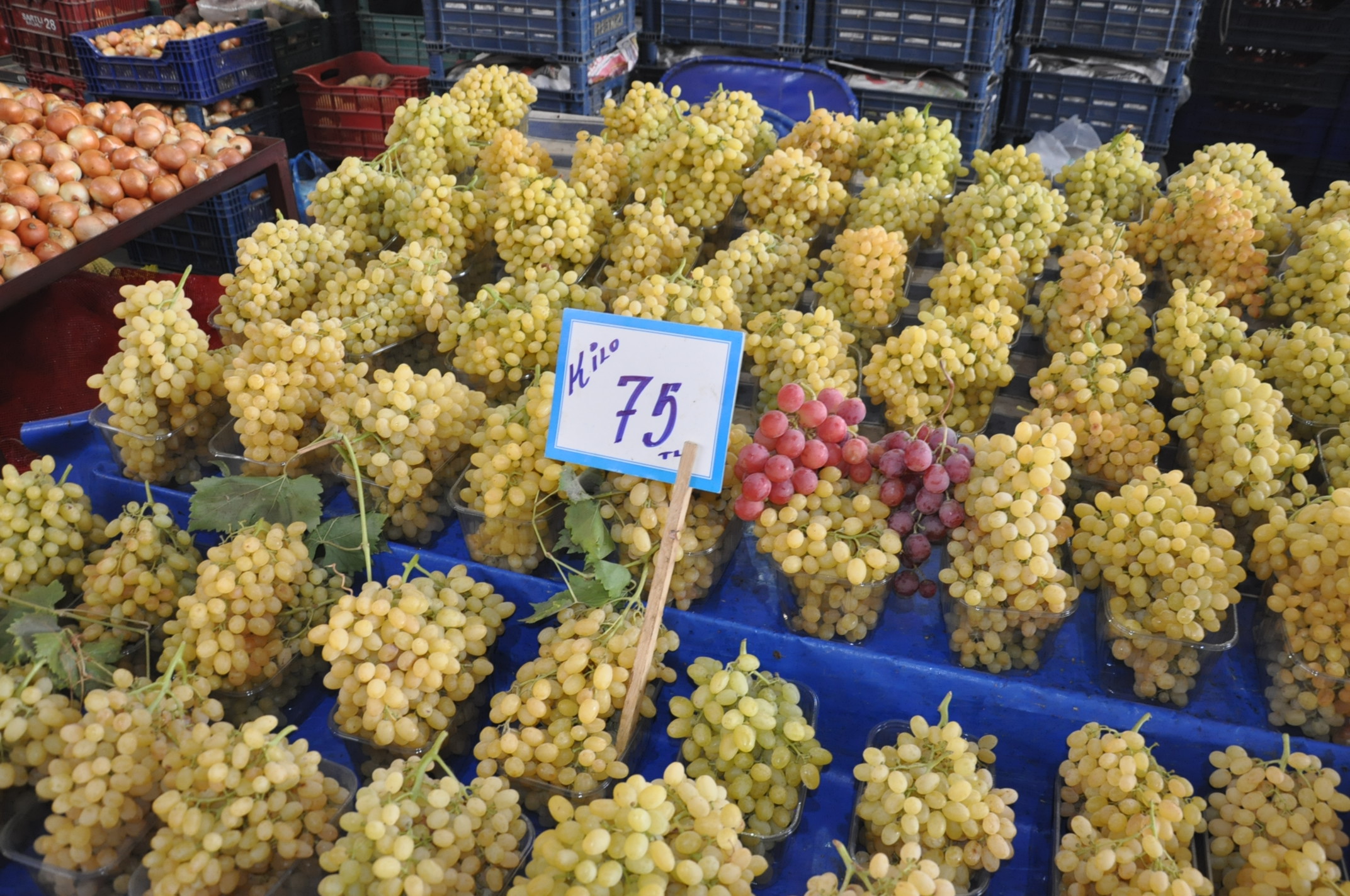 Çarşamba Pazarı (3)