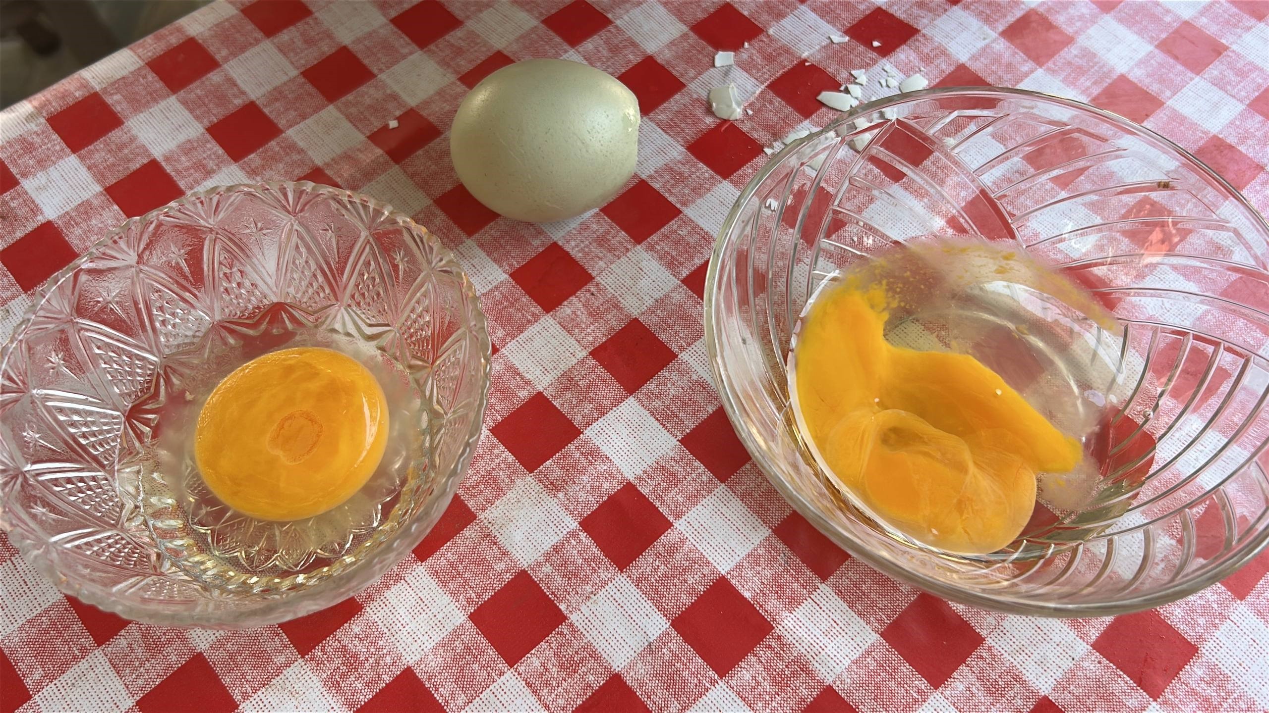 Doktorlar Tavsiye Ediyor 100 Tavuk Arasinda 2 Tanesi Ozel Vitamin Deposu Mavi Yumurtal (3)