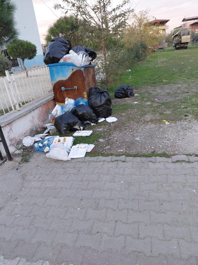 Edc9747E Ec68 4D1D 86A0 Bf5A9E110644